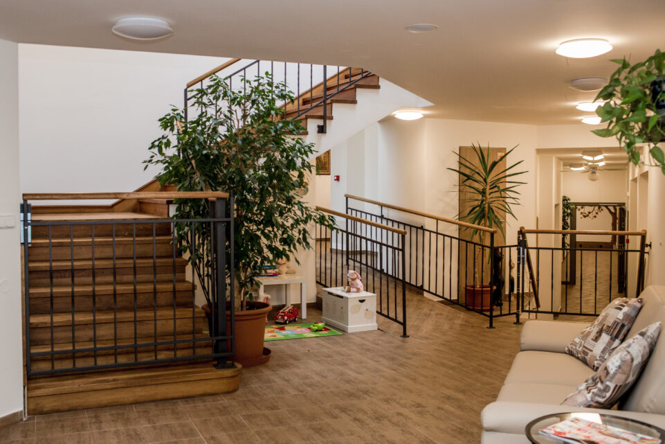 Senevida Filipov foto 3