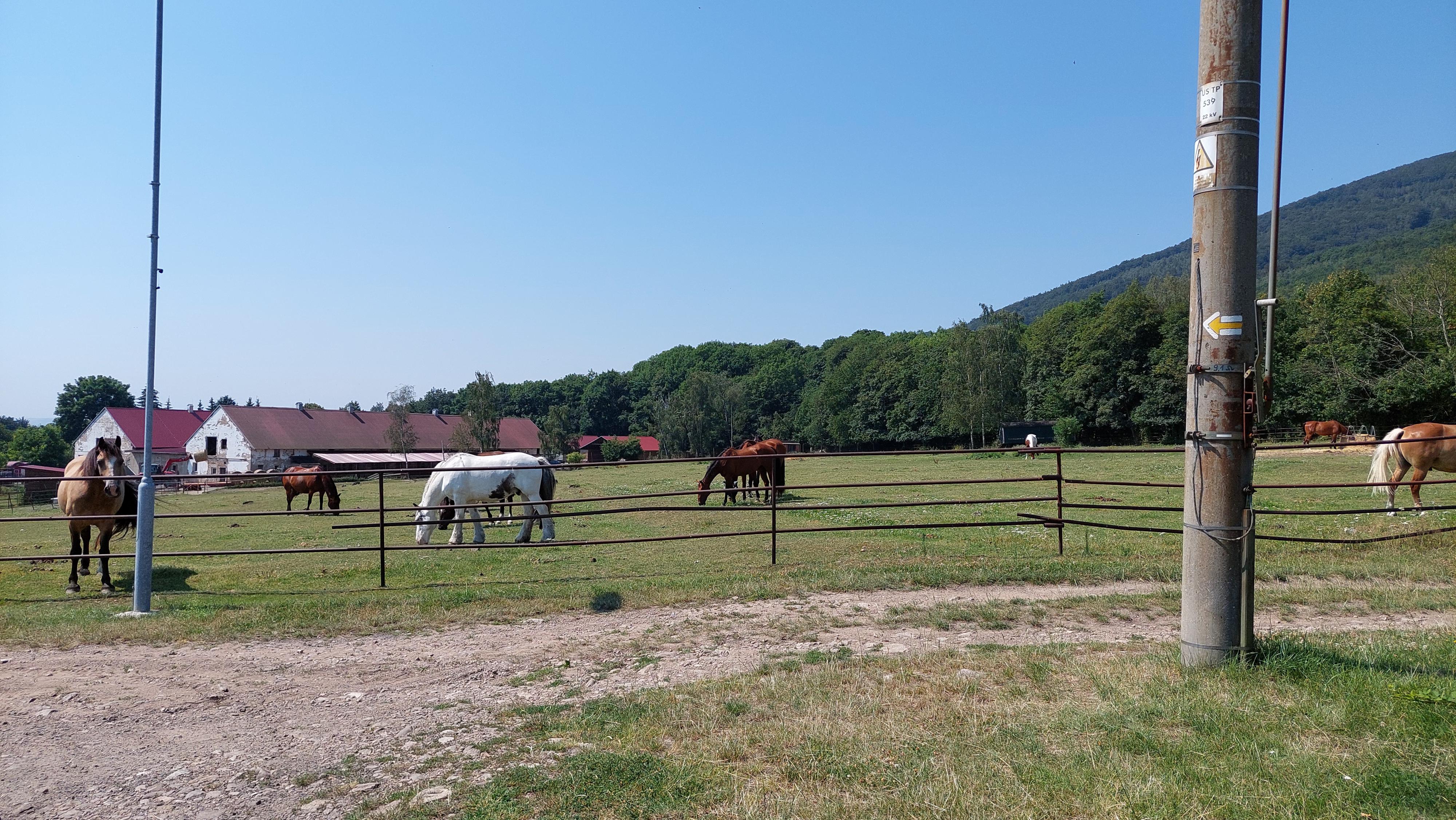 Farma Sedlár foto 1