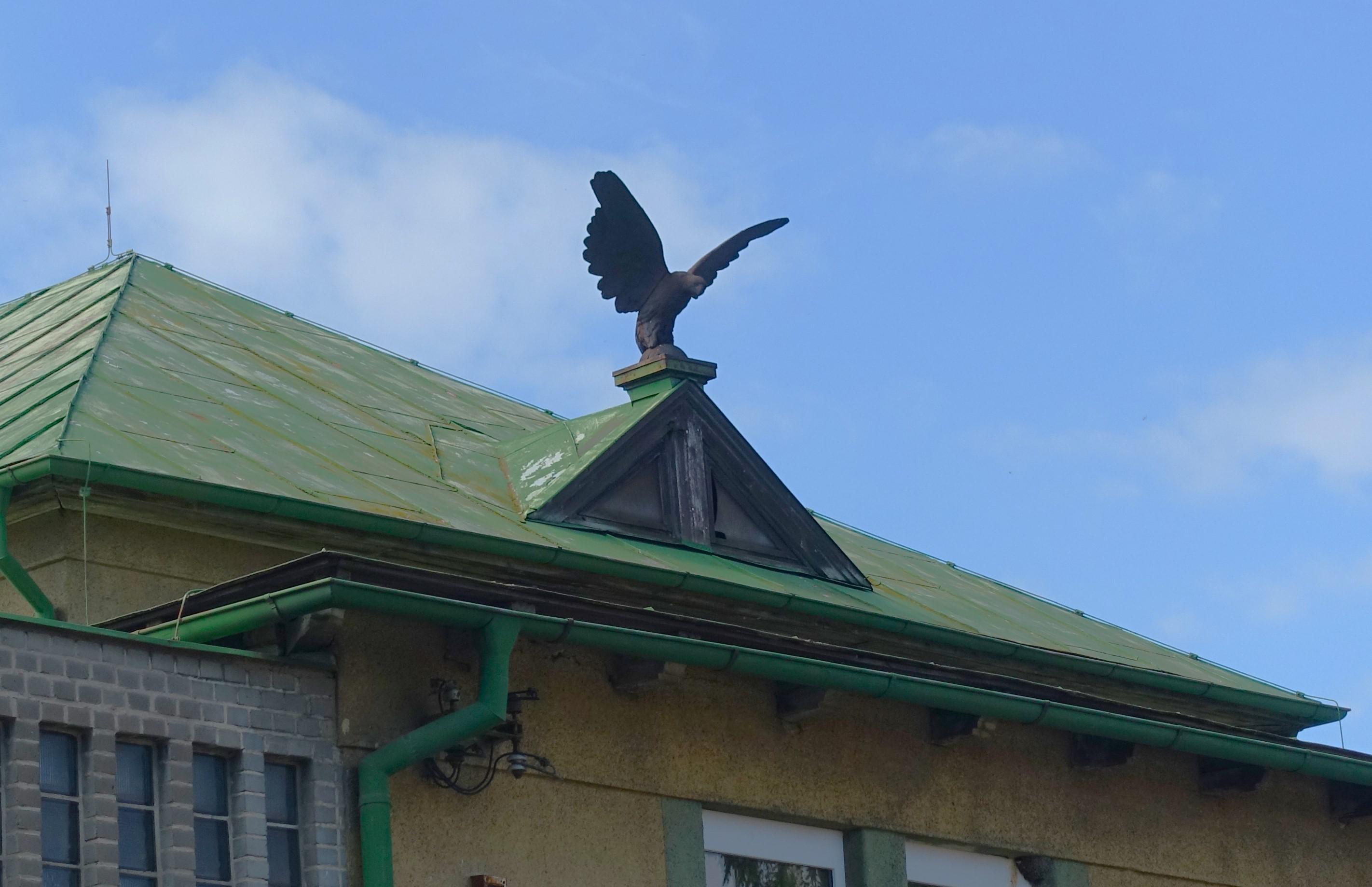 SK Křečhoř, z.s. foto 2