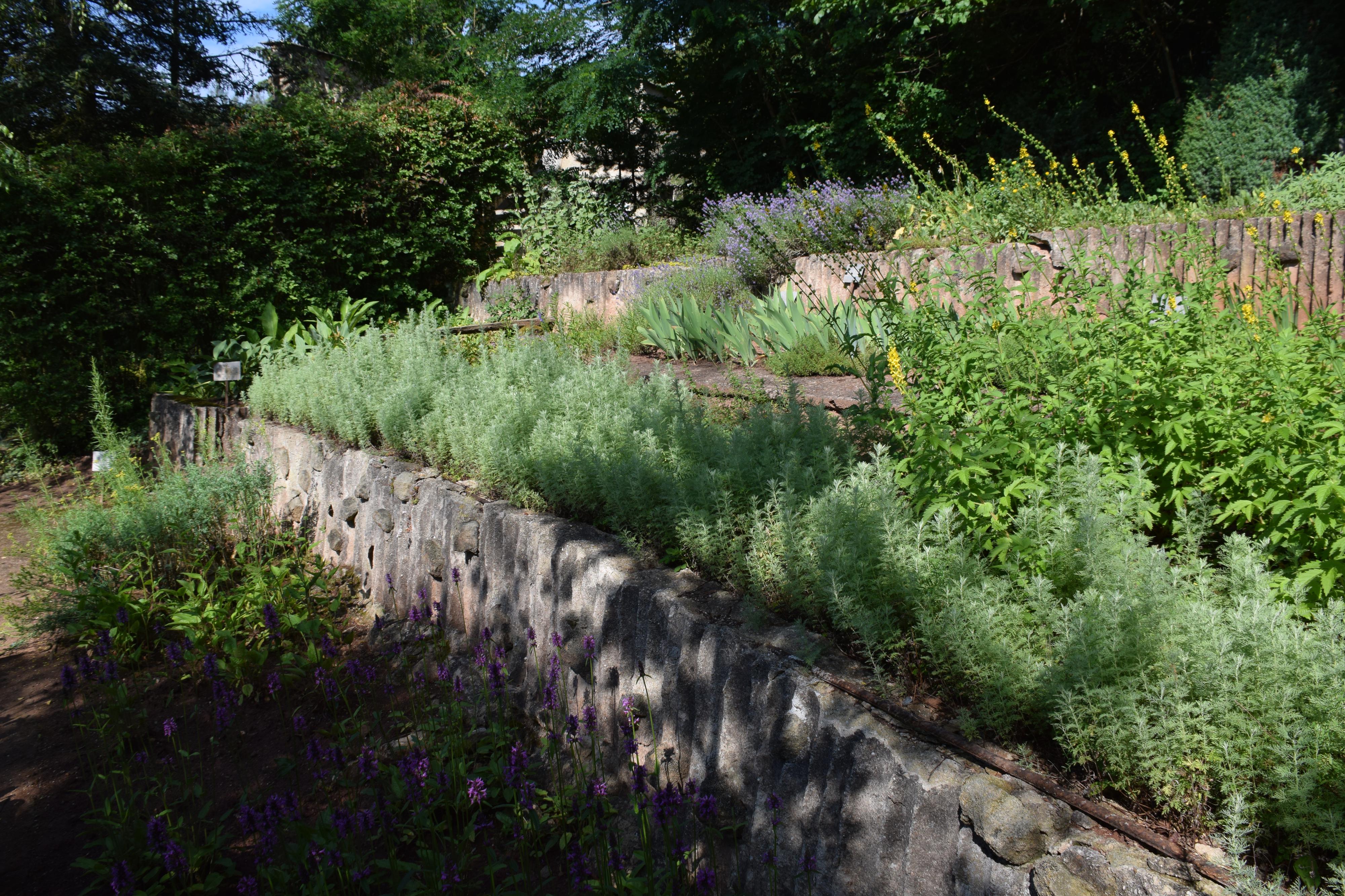 Zahradnictví SAK František Chlup foto 3