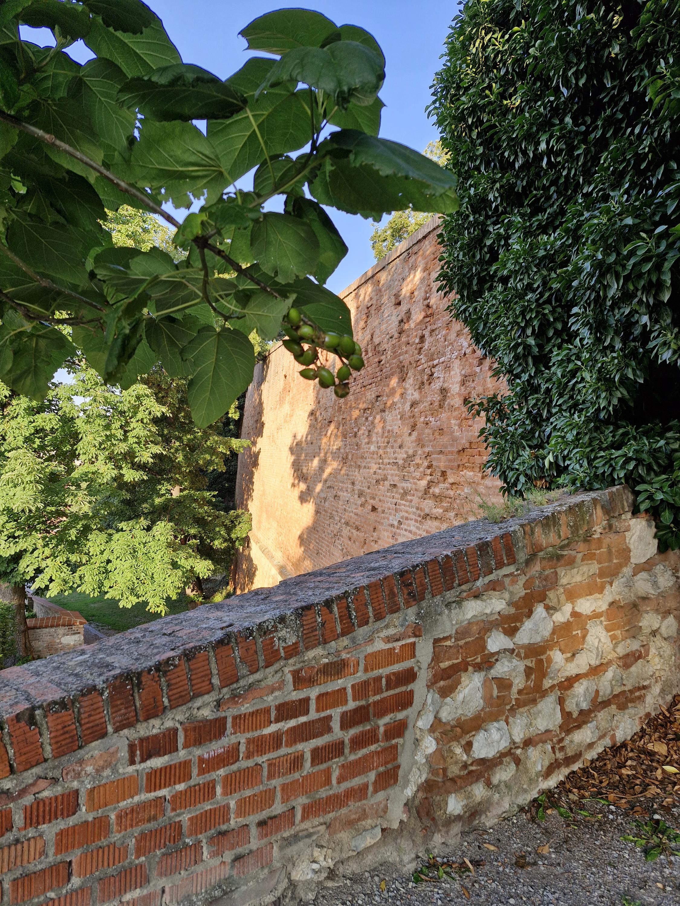 Odborná knihovna Regionálního muzea v Mikulově foto 5