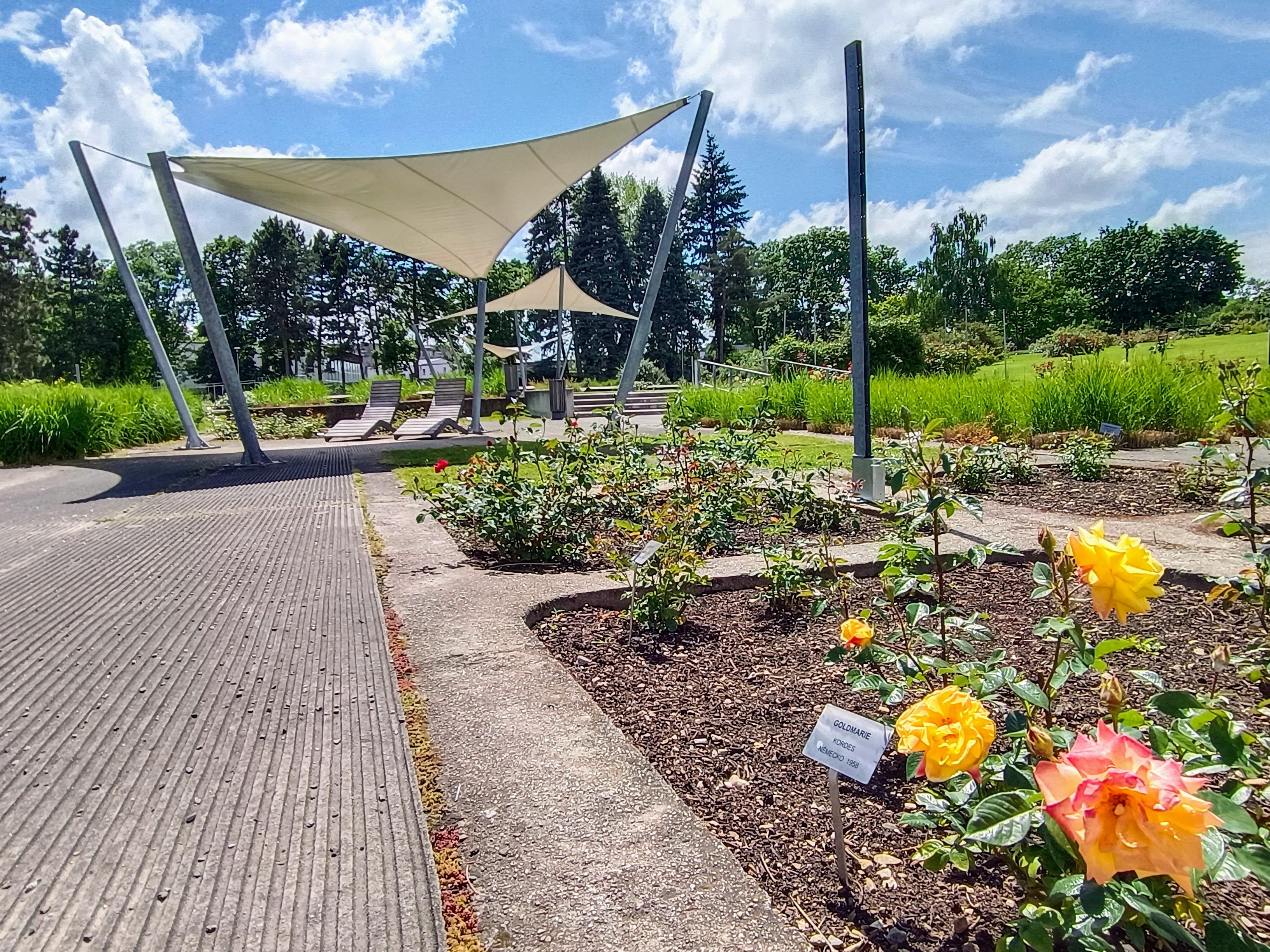 Botanická zahrada a Zahrada smyslů foto 5