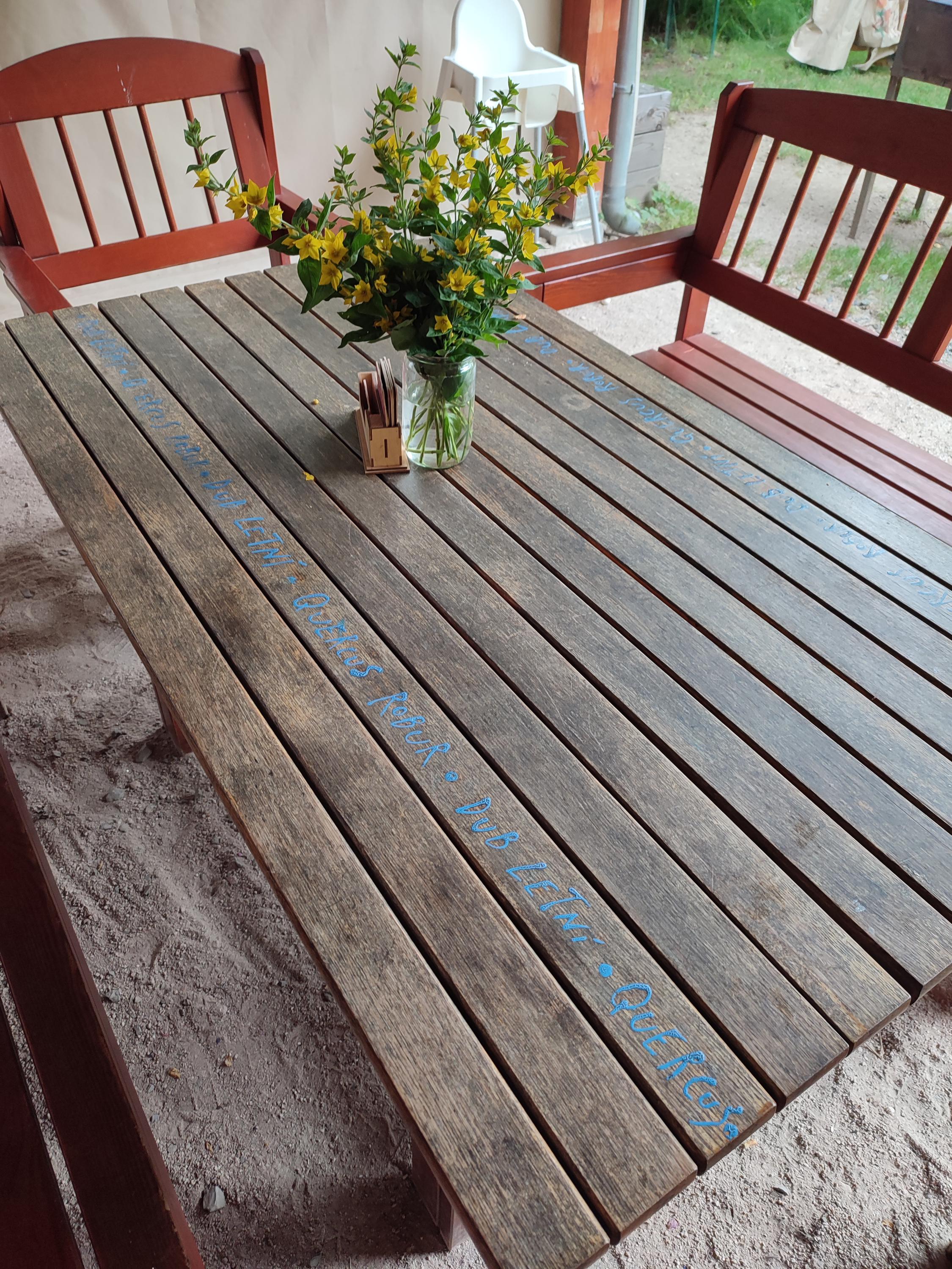 Občerstvení Bečovská botanická zahrada foto 5