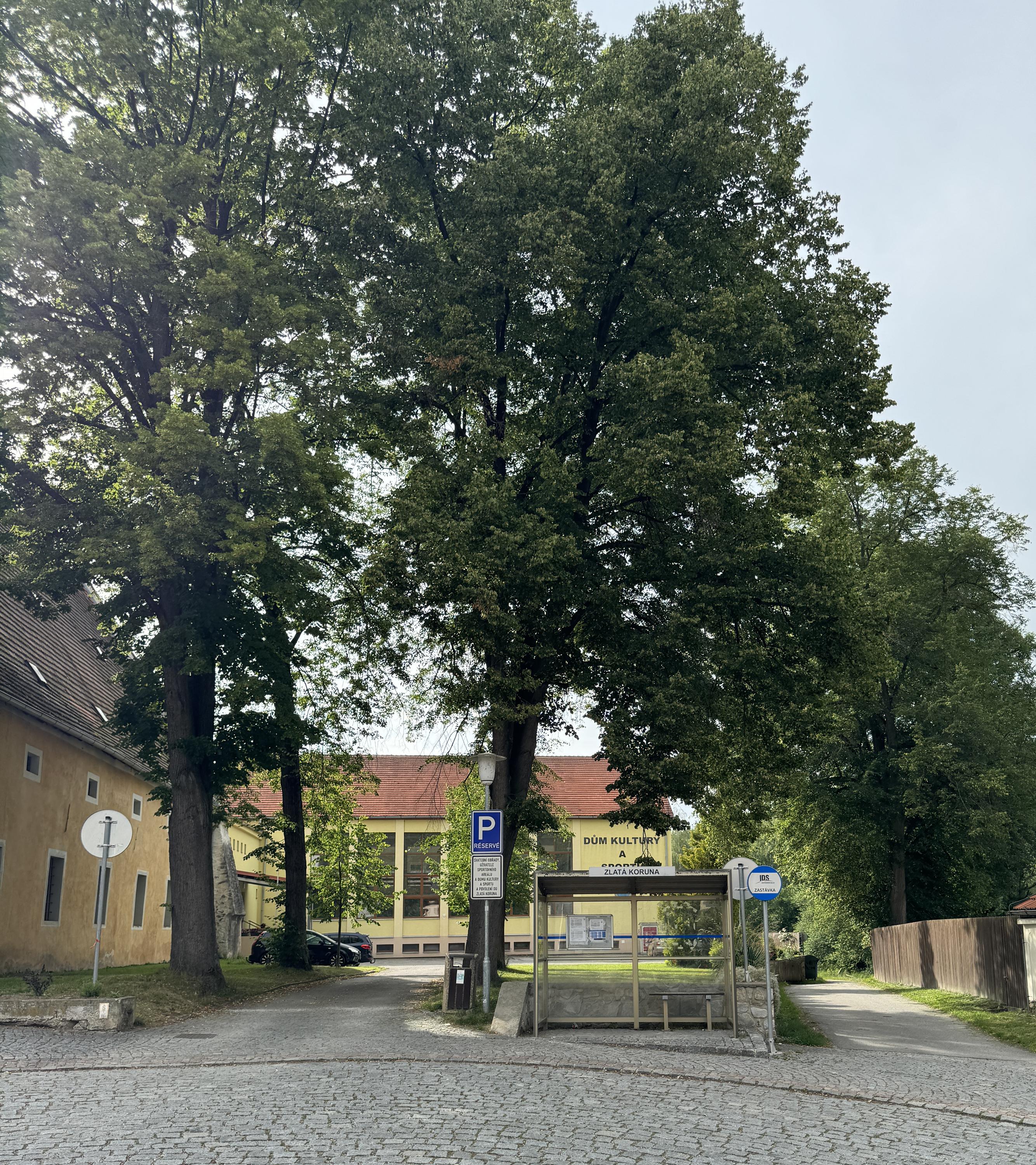 Dům kultury a sportu foto 2