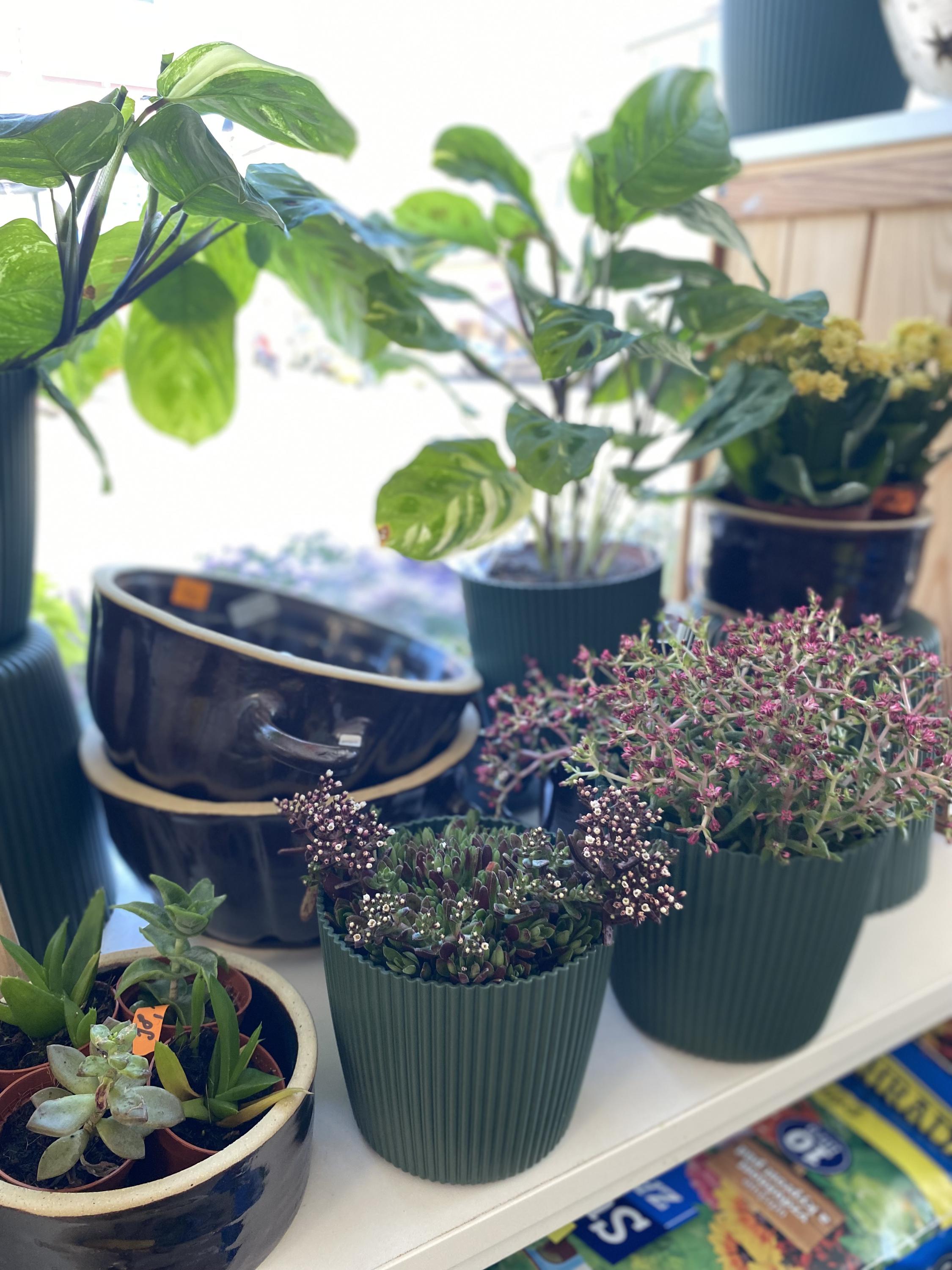 Farma vše pro zahradu a chov foto 2