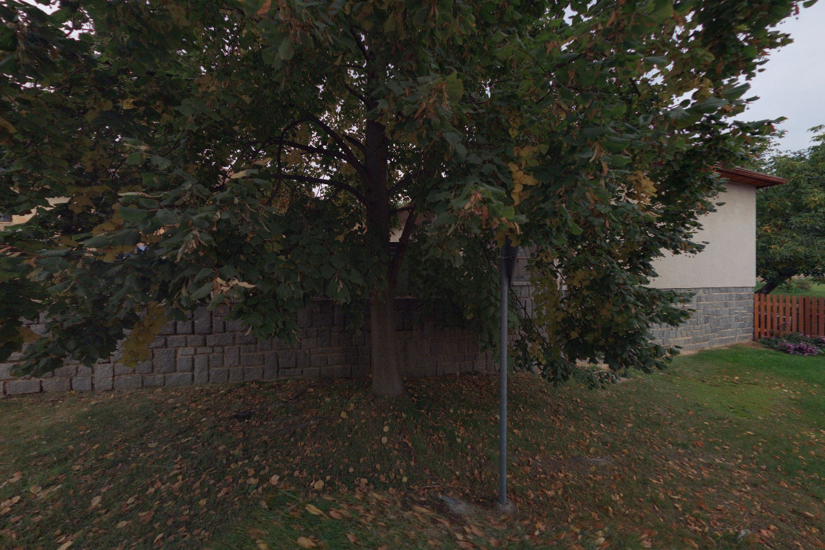 Obecní knihovna Vševily