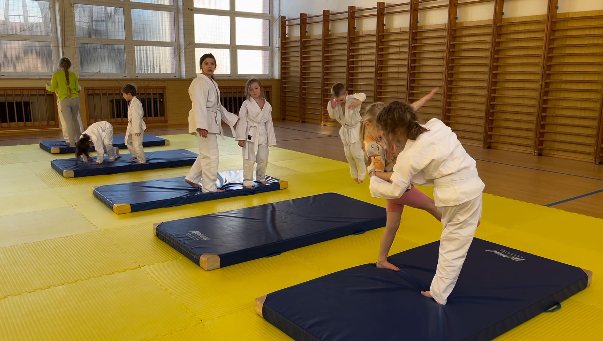 Judo Best Motion foto 4