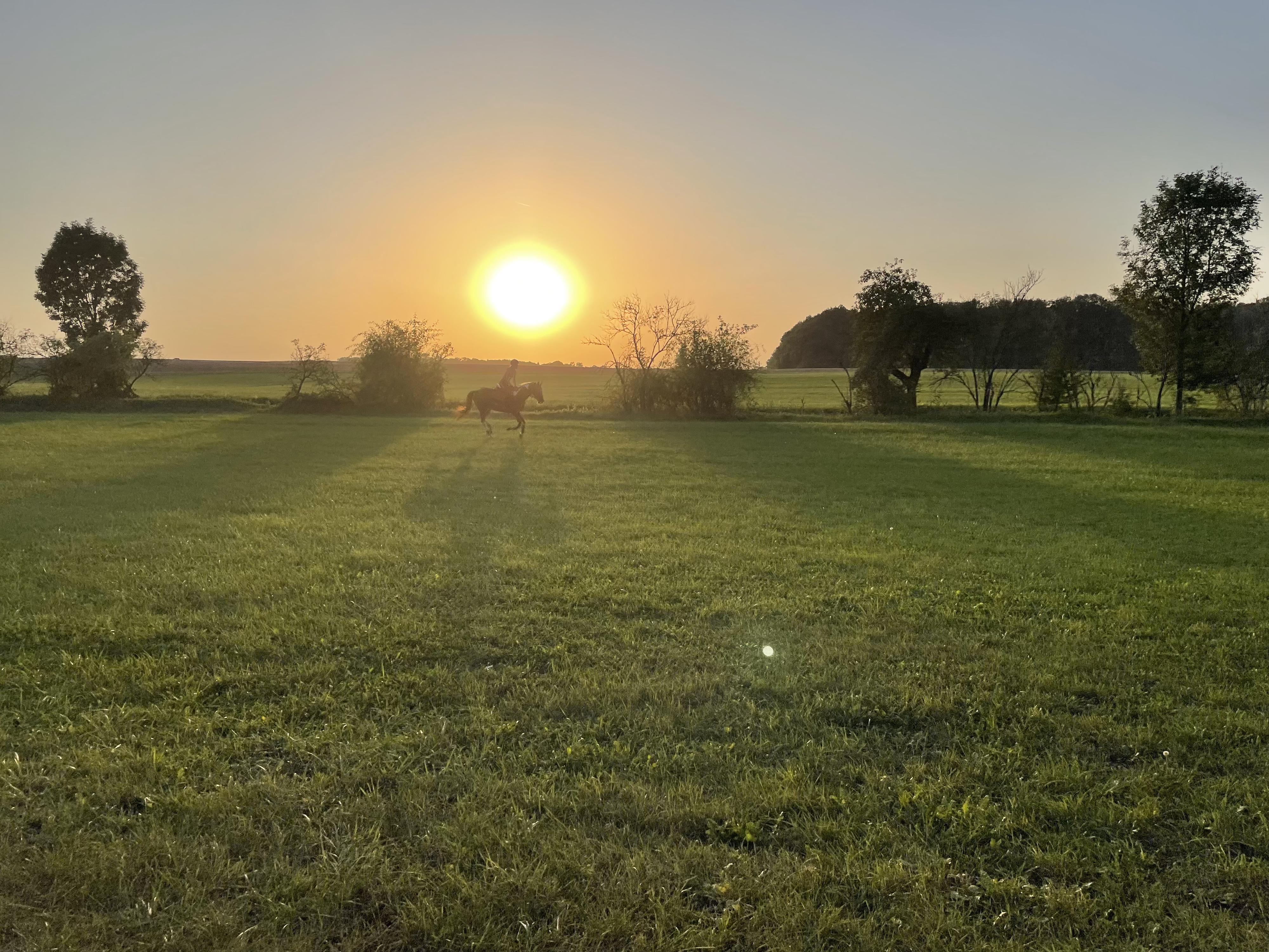 Farma Hrádek - tábory foto 2