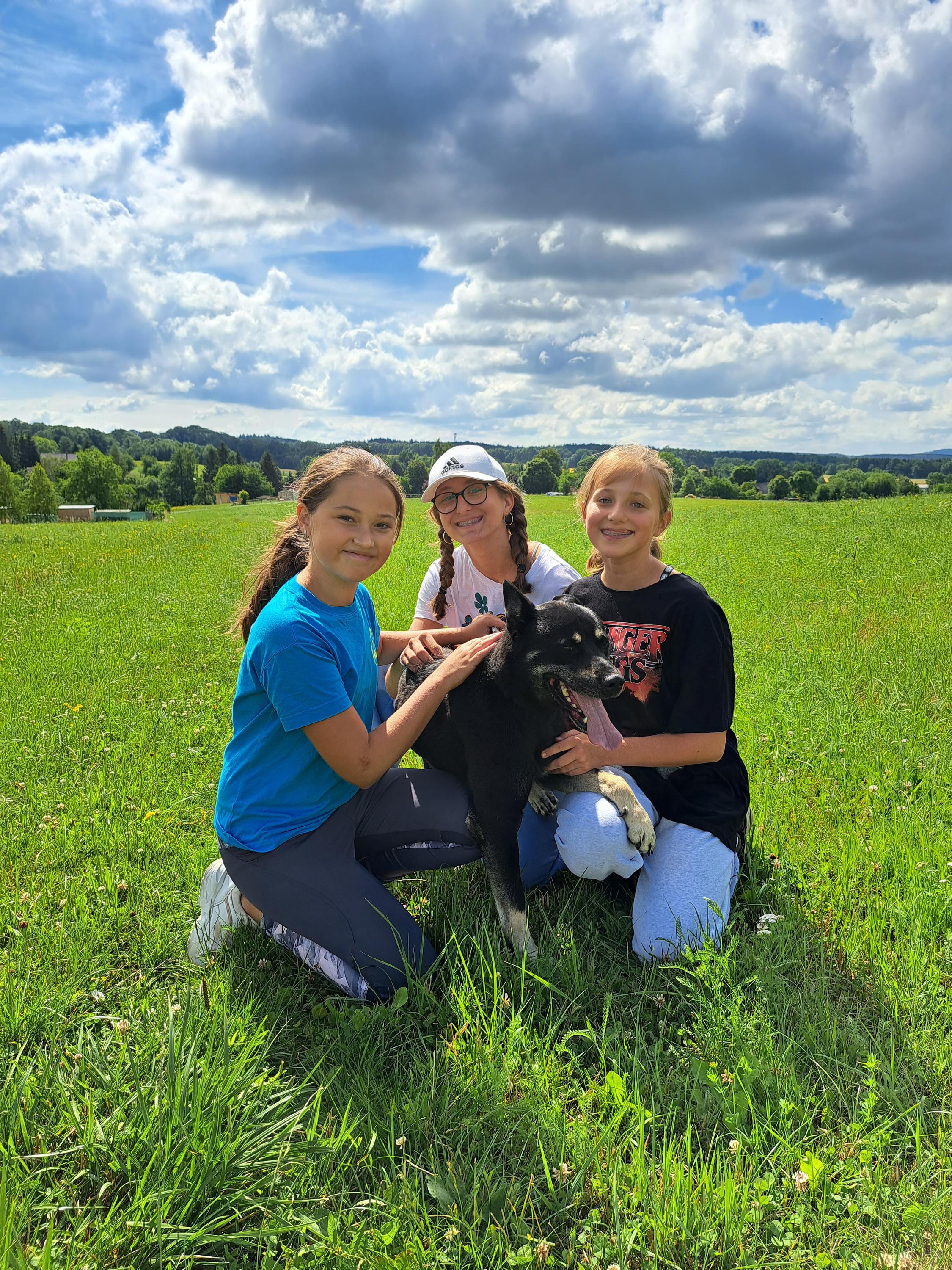 Psí domov Lukavice foto 2