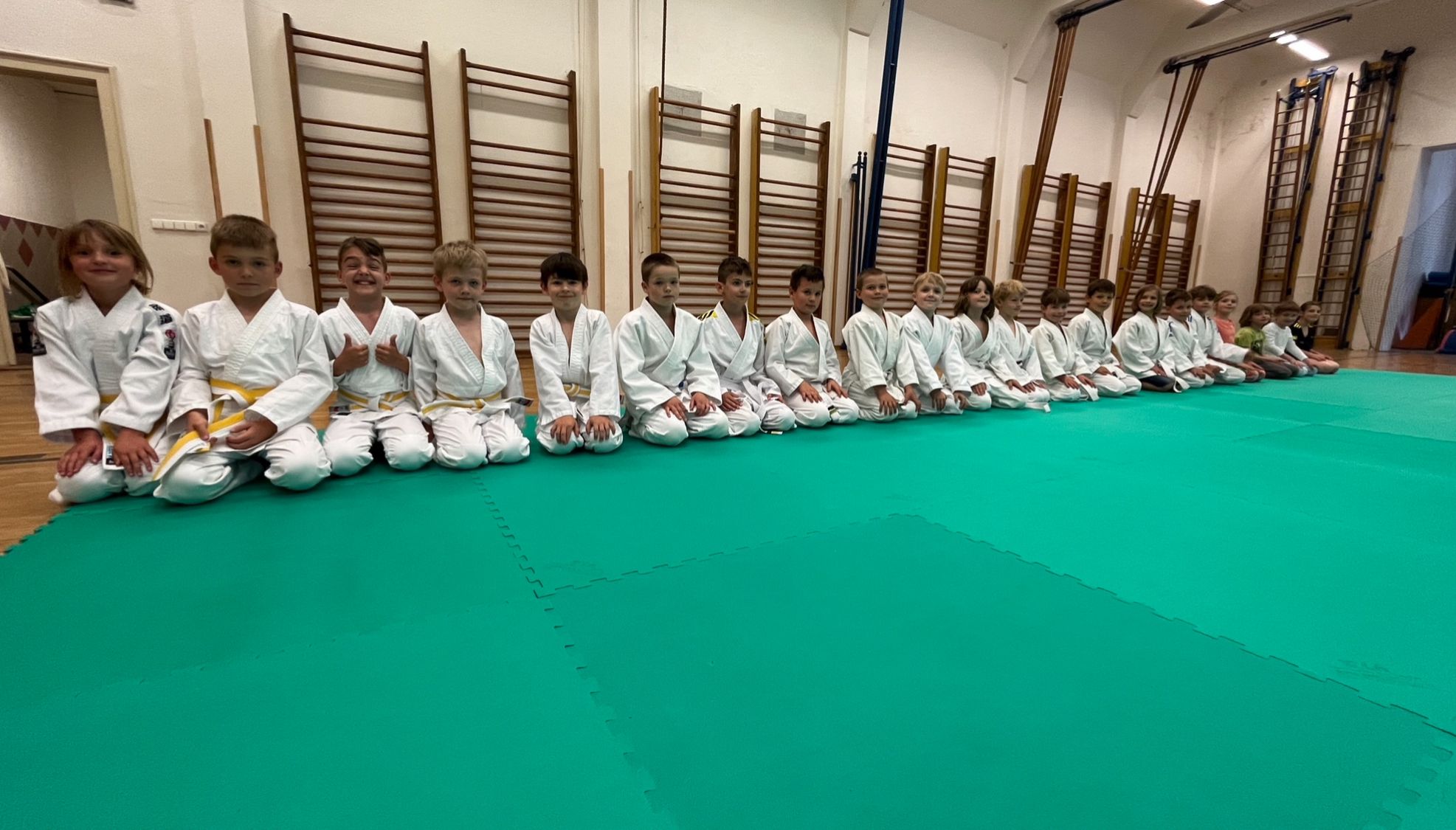 Judo Best Motion foto 4