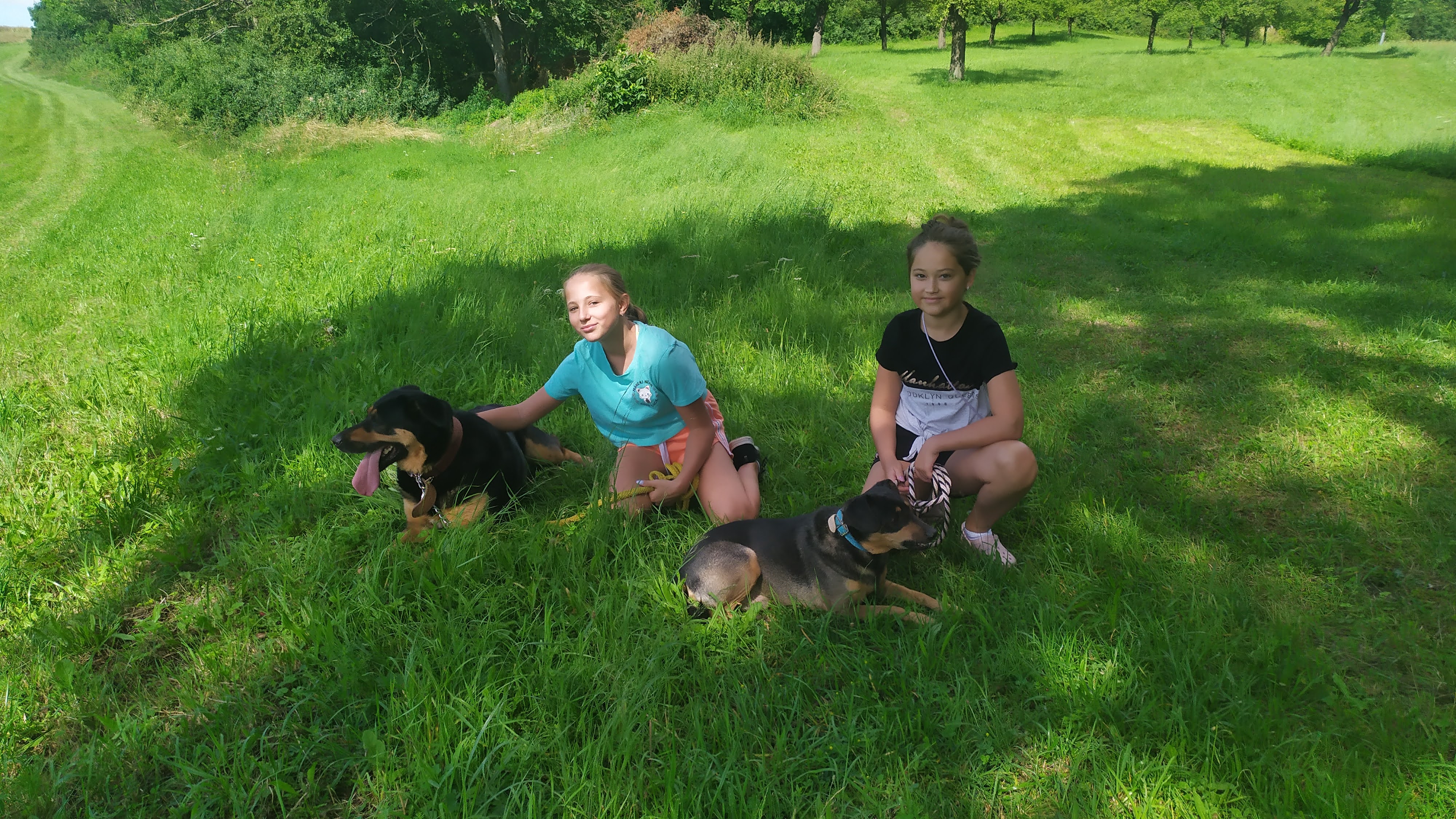 Psí domov Lukavice foto 3