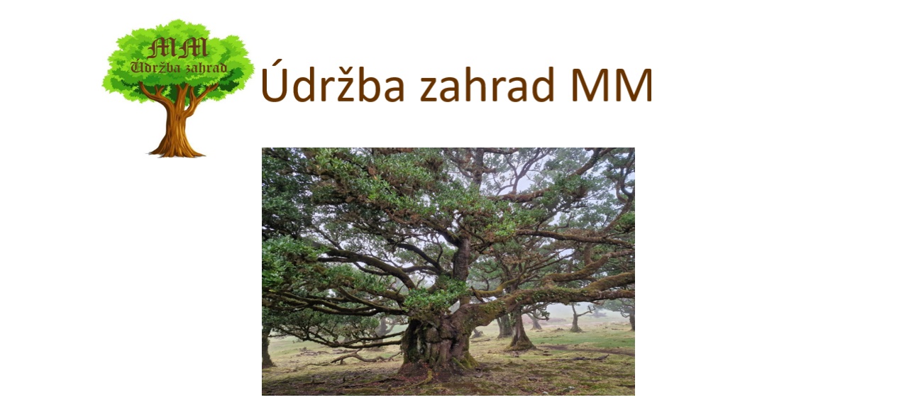 Údržba zahrad MM foto 3