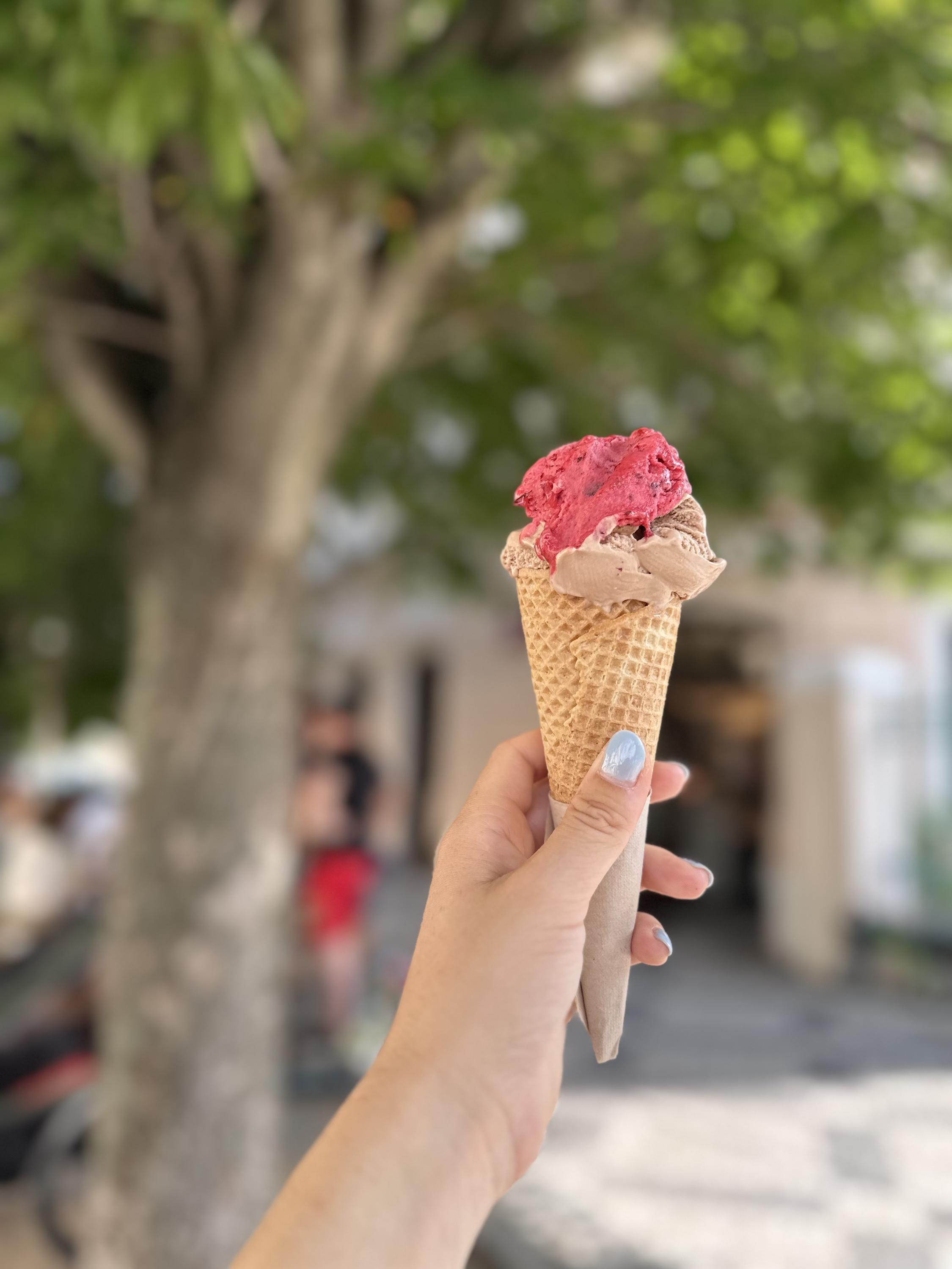 Zmrzlinárna Pod Kaštany Crème de la Crème foto 2