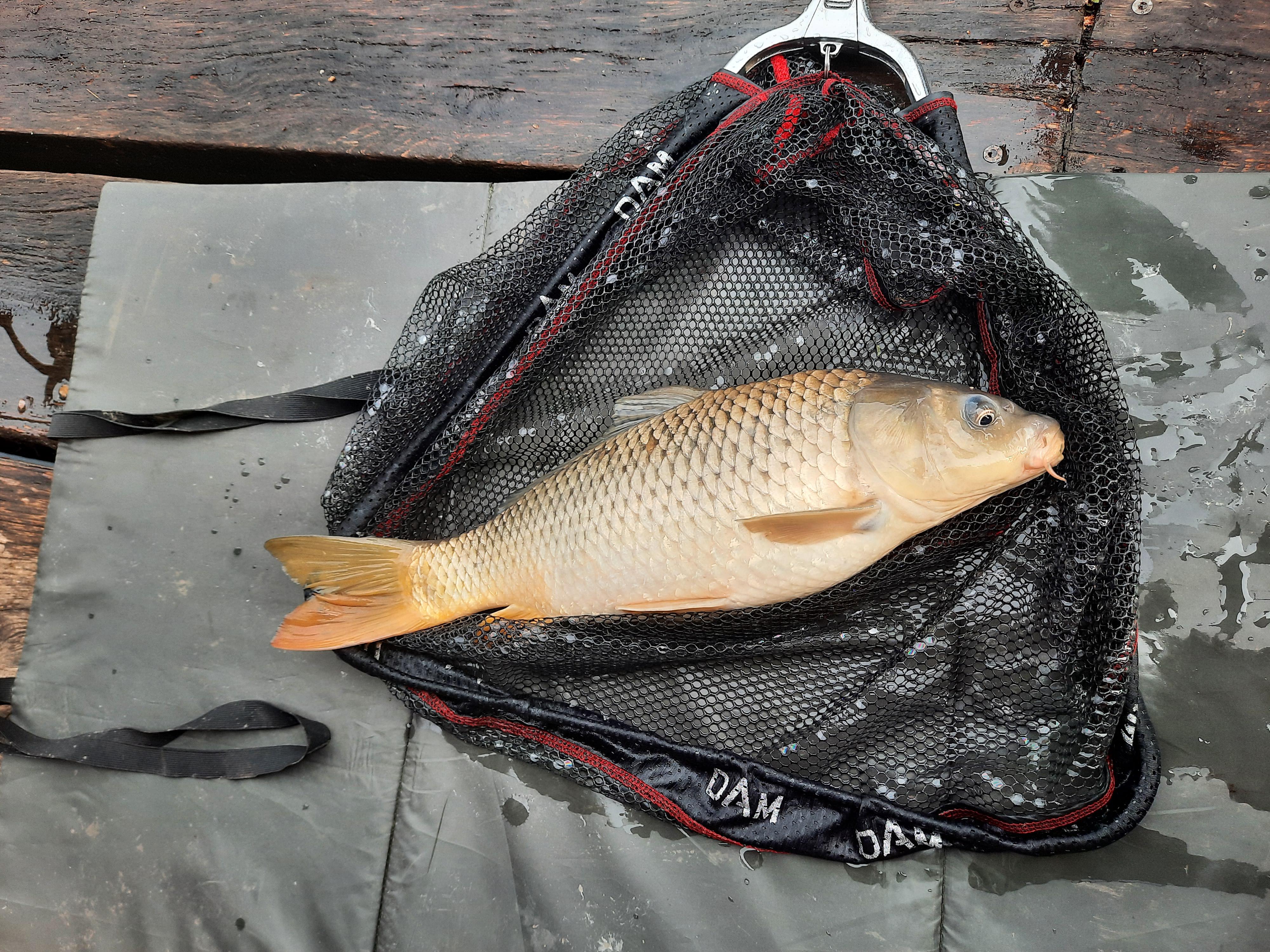 Wellness Fishig foto 6