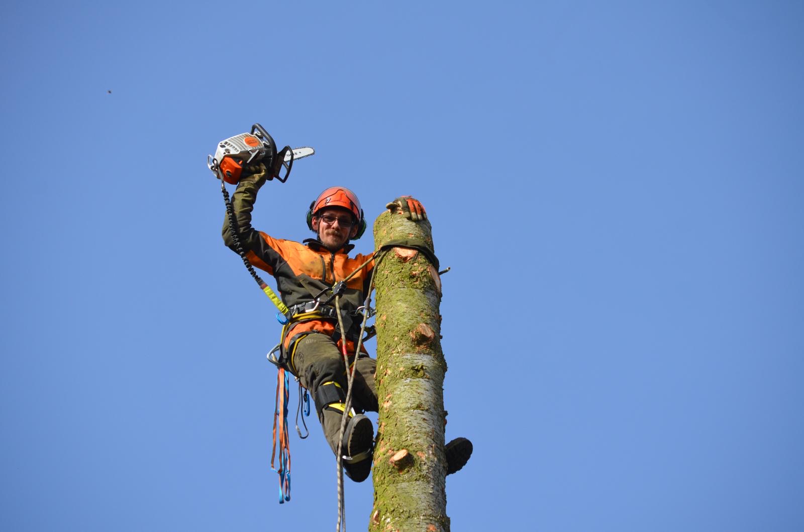 Rizikové kácení stromů Pešek foto 6