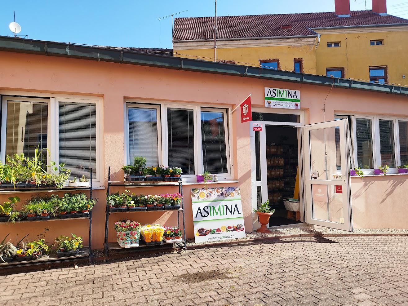 ASIMINA foto 2