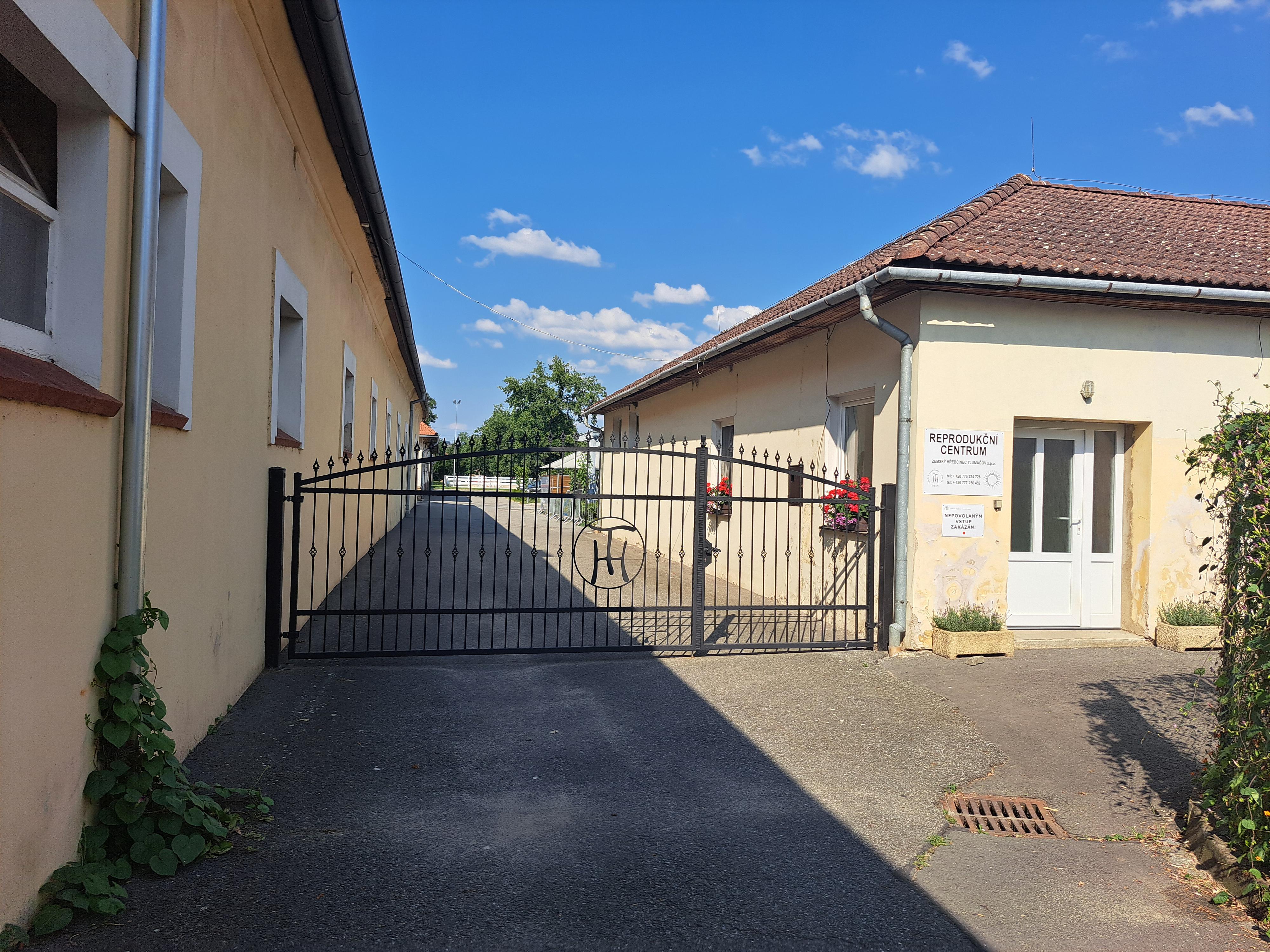 Zemský hřebčinec Tlumačov s.p.o. foto 5