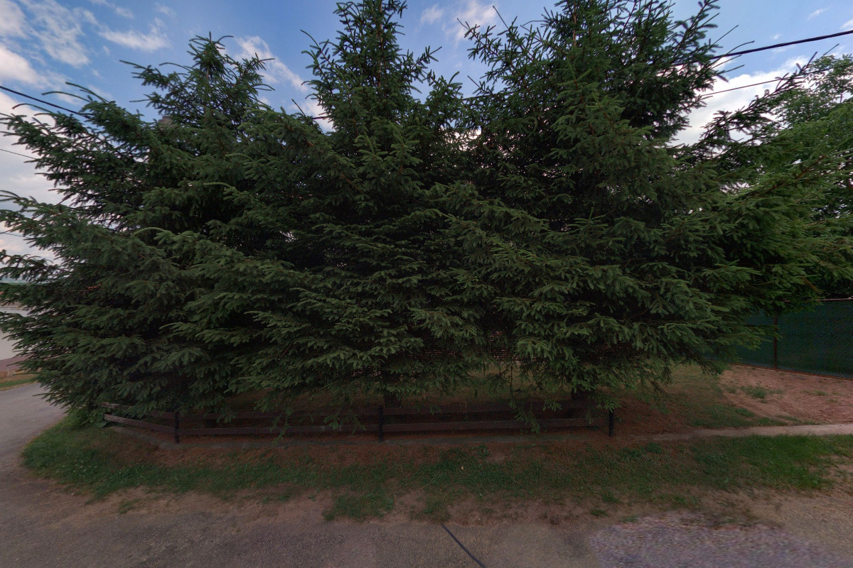 Markéta Zimolová - ZFP GROUP foto 3