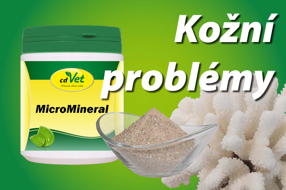 Baron.cz – přírodní lékárna pro psy a kočky foto 3