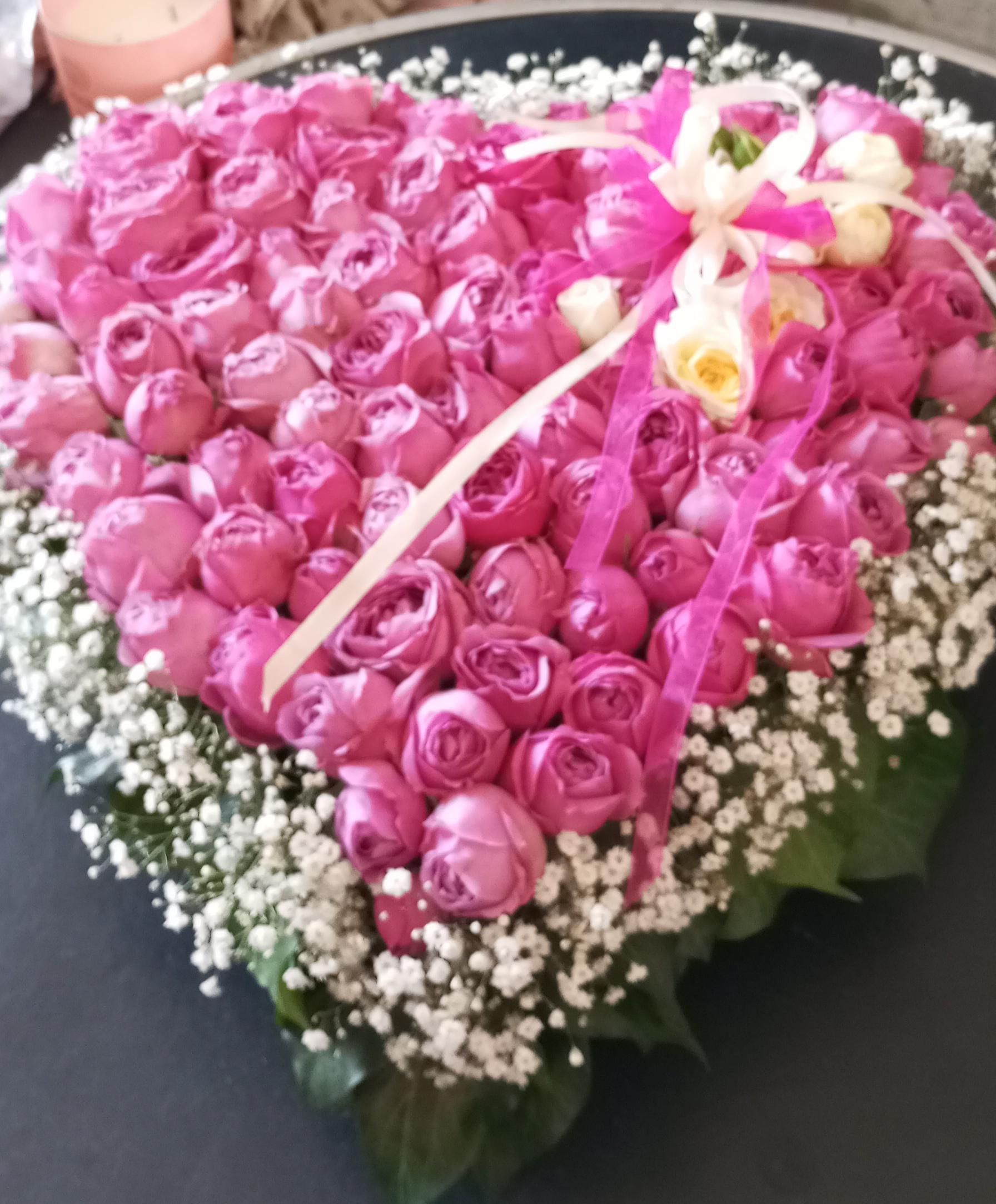 Zahradnictví Na Sušárně foto 5