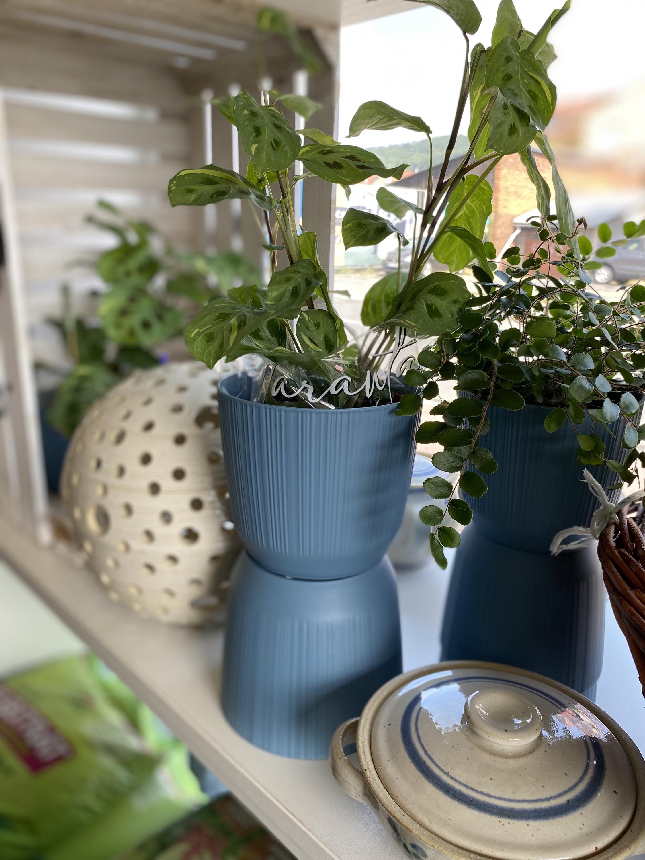 Farma vše pro zahradu a chov foto 3