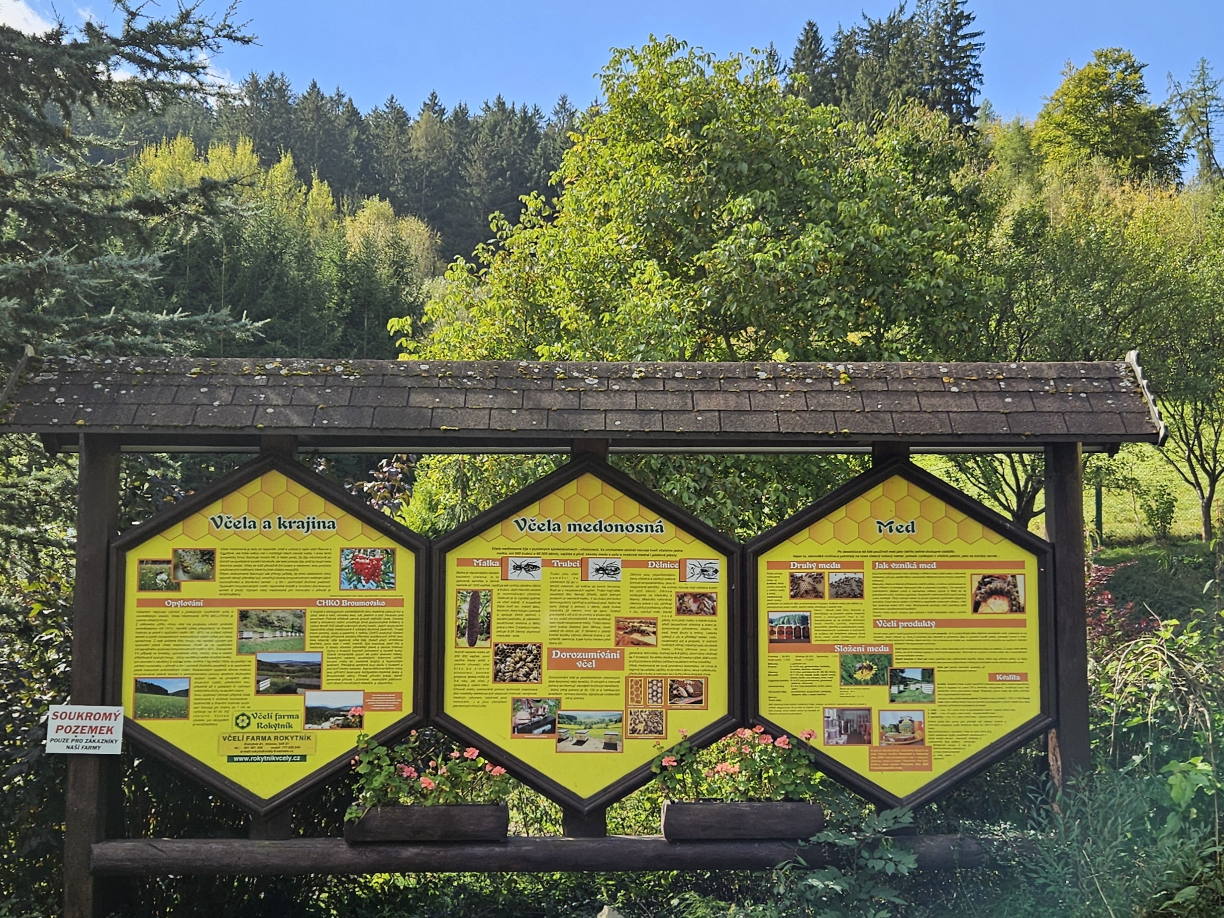 Včelí farma - Simona Adamcová foto 2