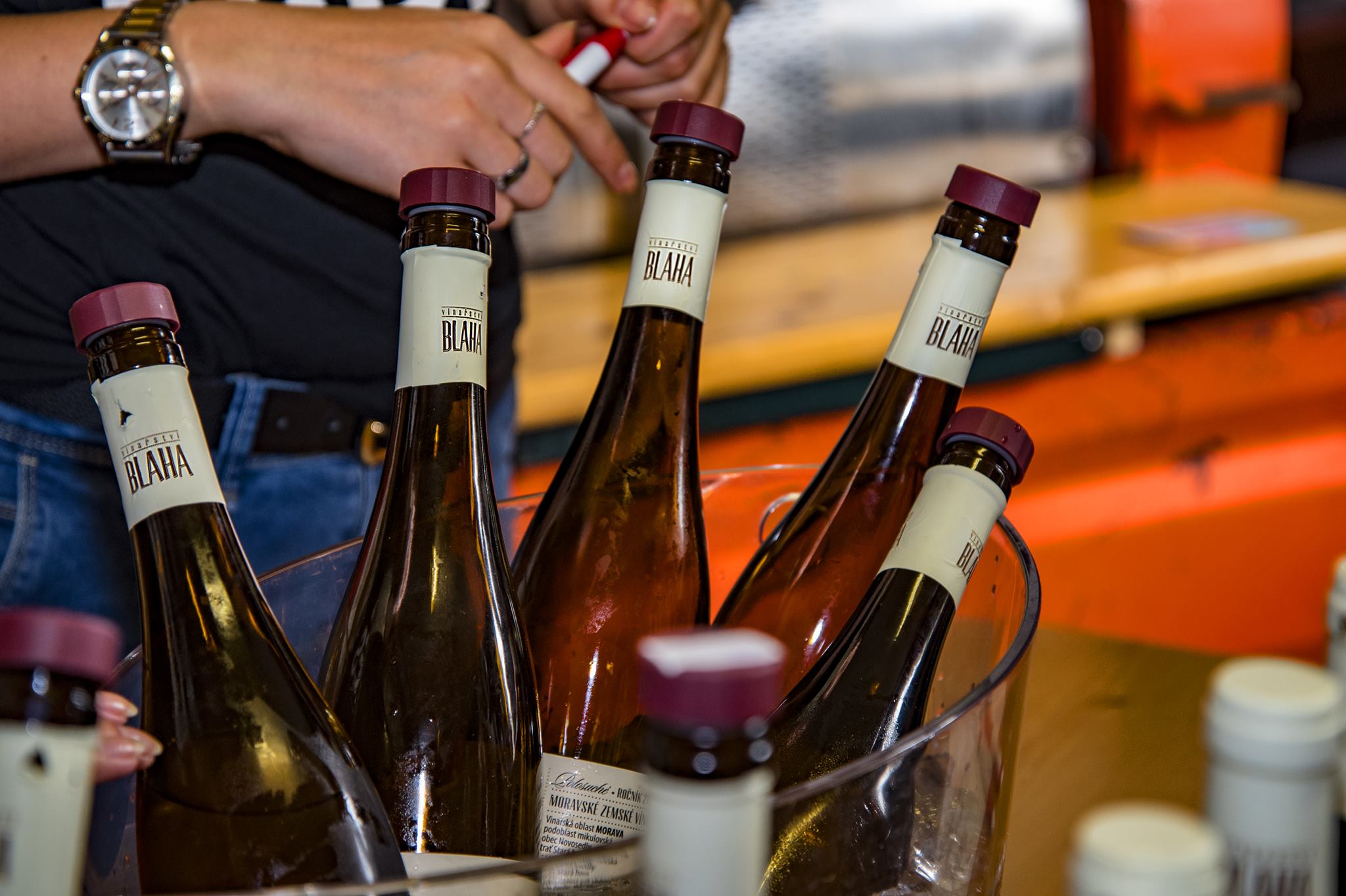 Vinařství Blaha foto 3