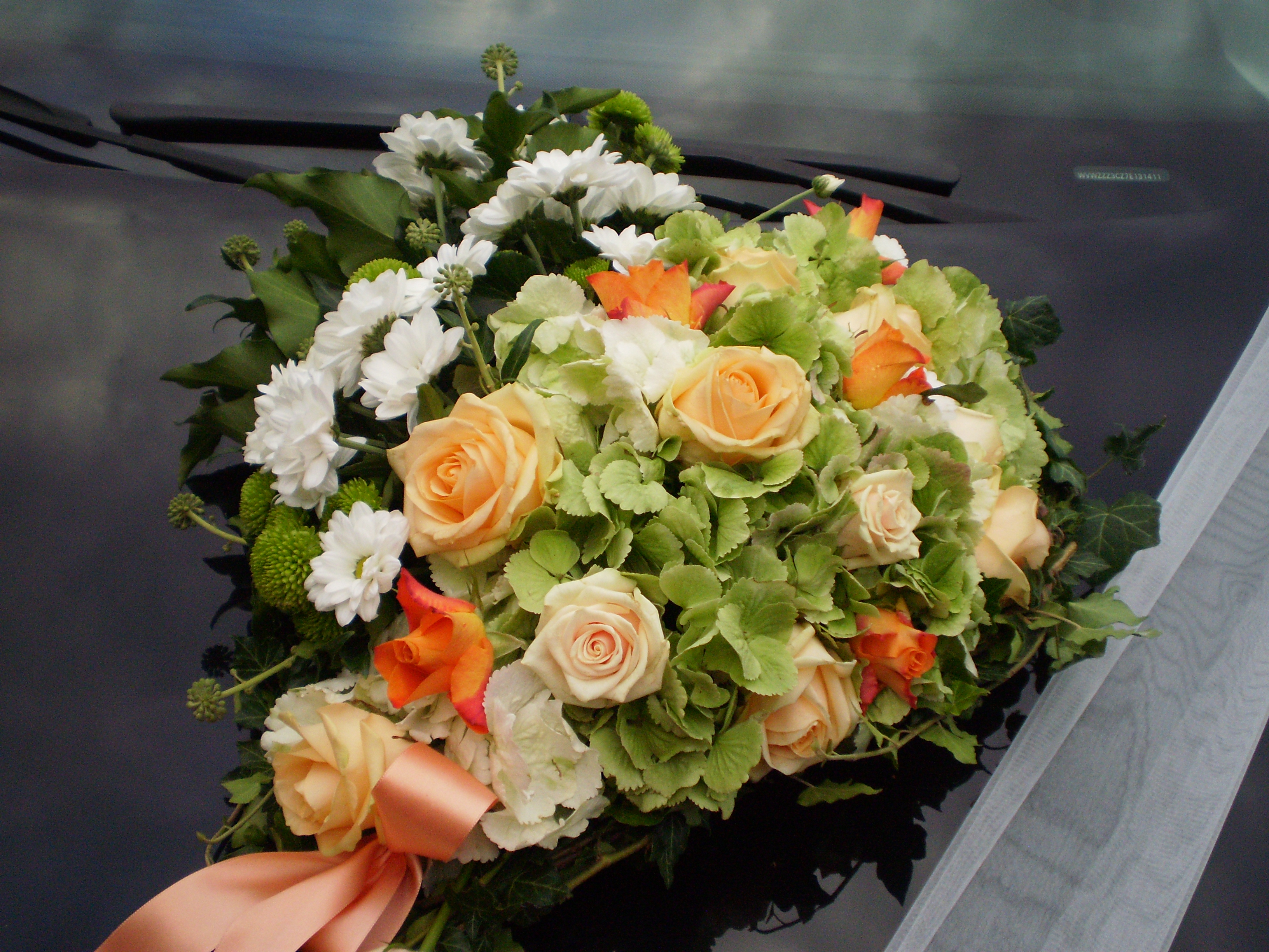 Ing. Jan Bednařík - Bereniké Flowers foto 5
