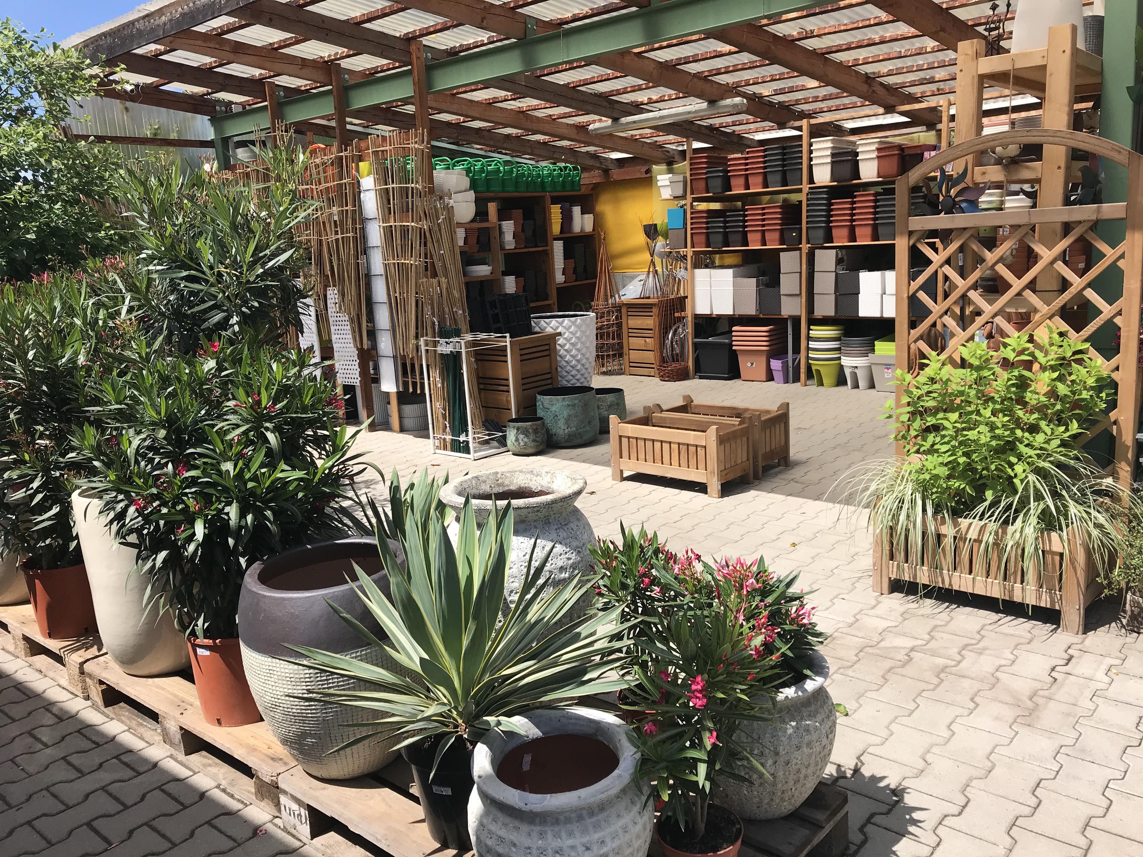 Zahradnictví Fleglovi Vamberk foto 3