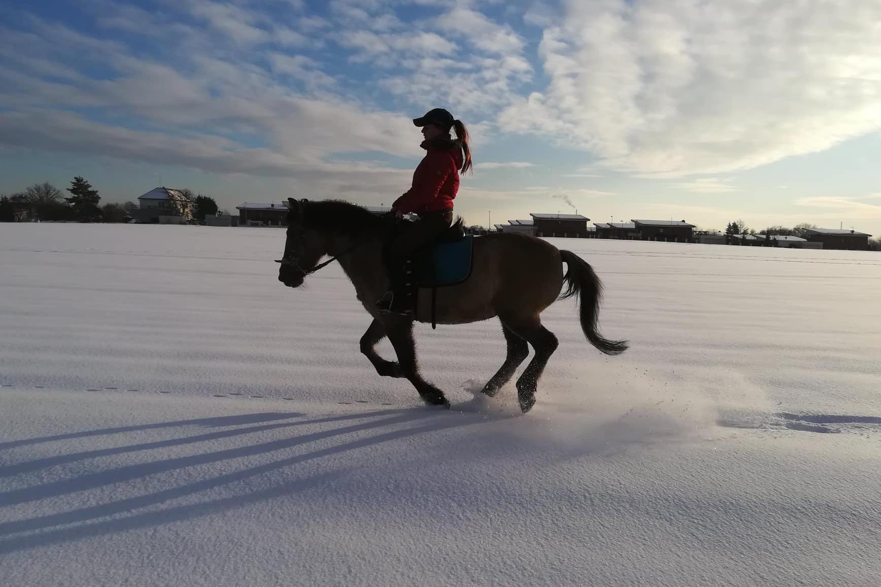 Jezdecký klub Fidorka foto 2