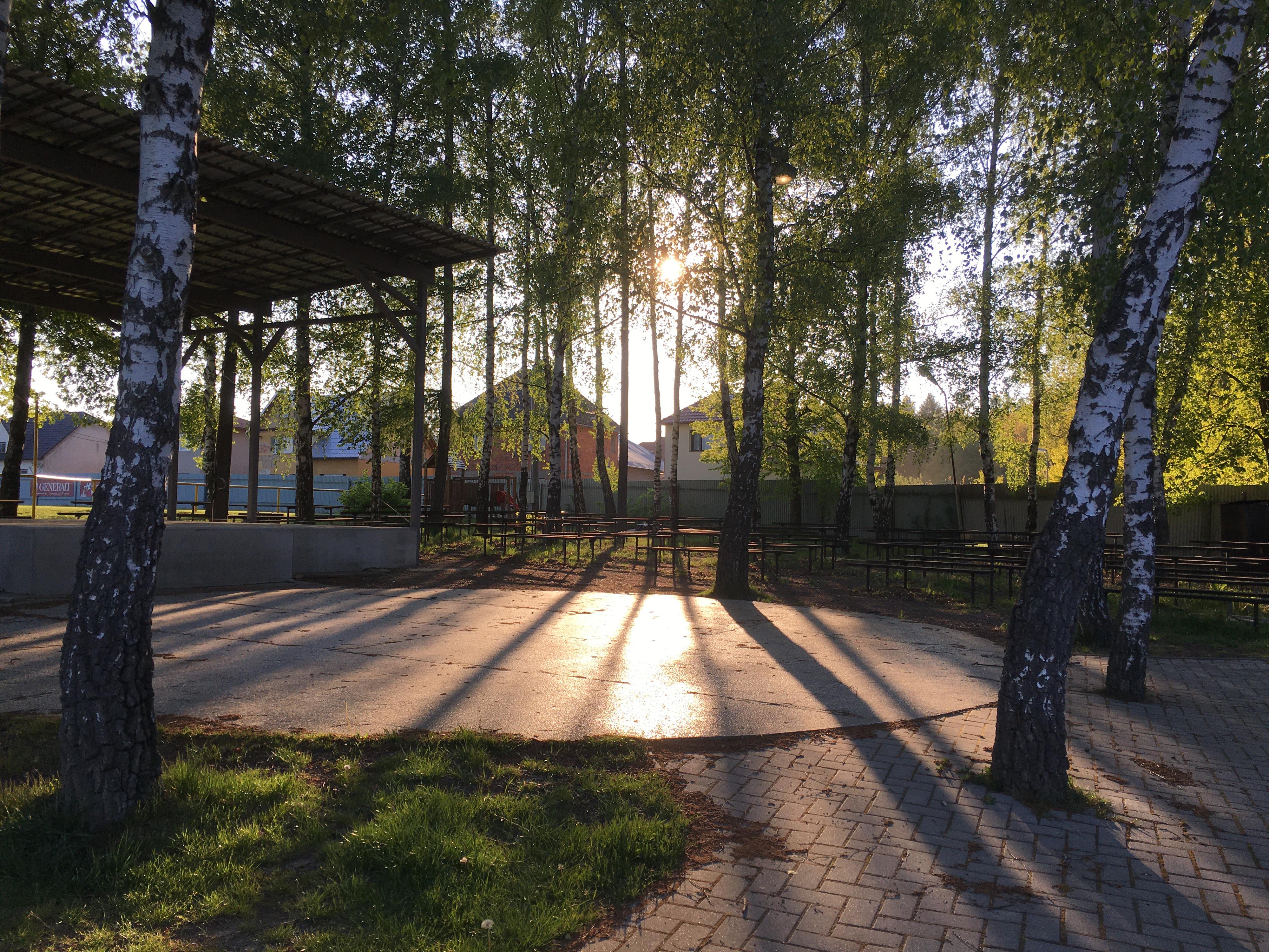 SK Hvozdná foto 3