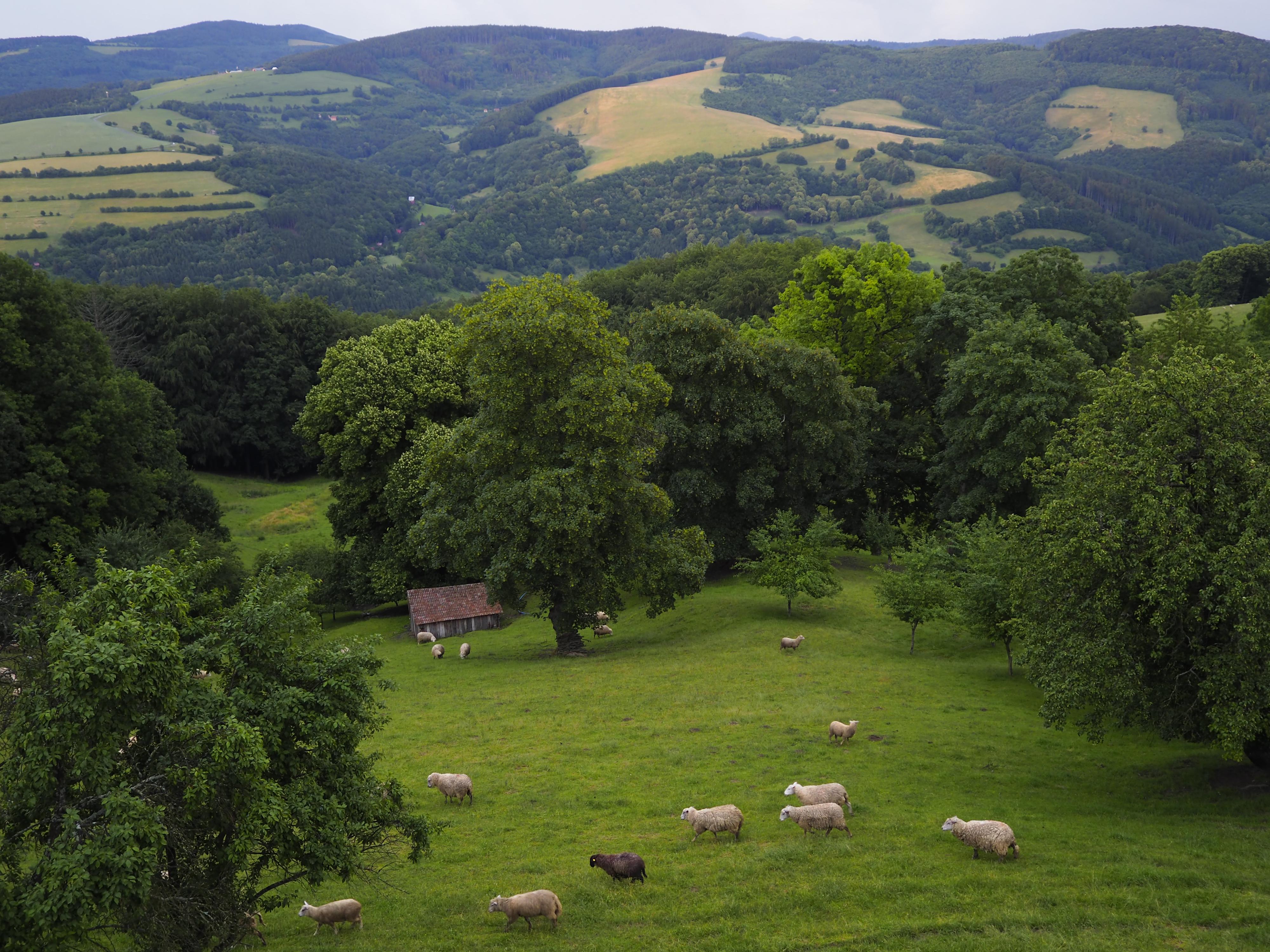 Nad údolím Vláry foto 2