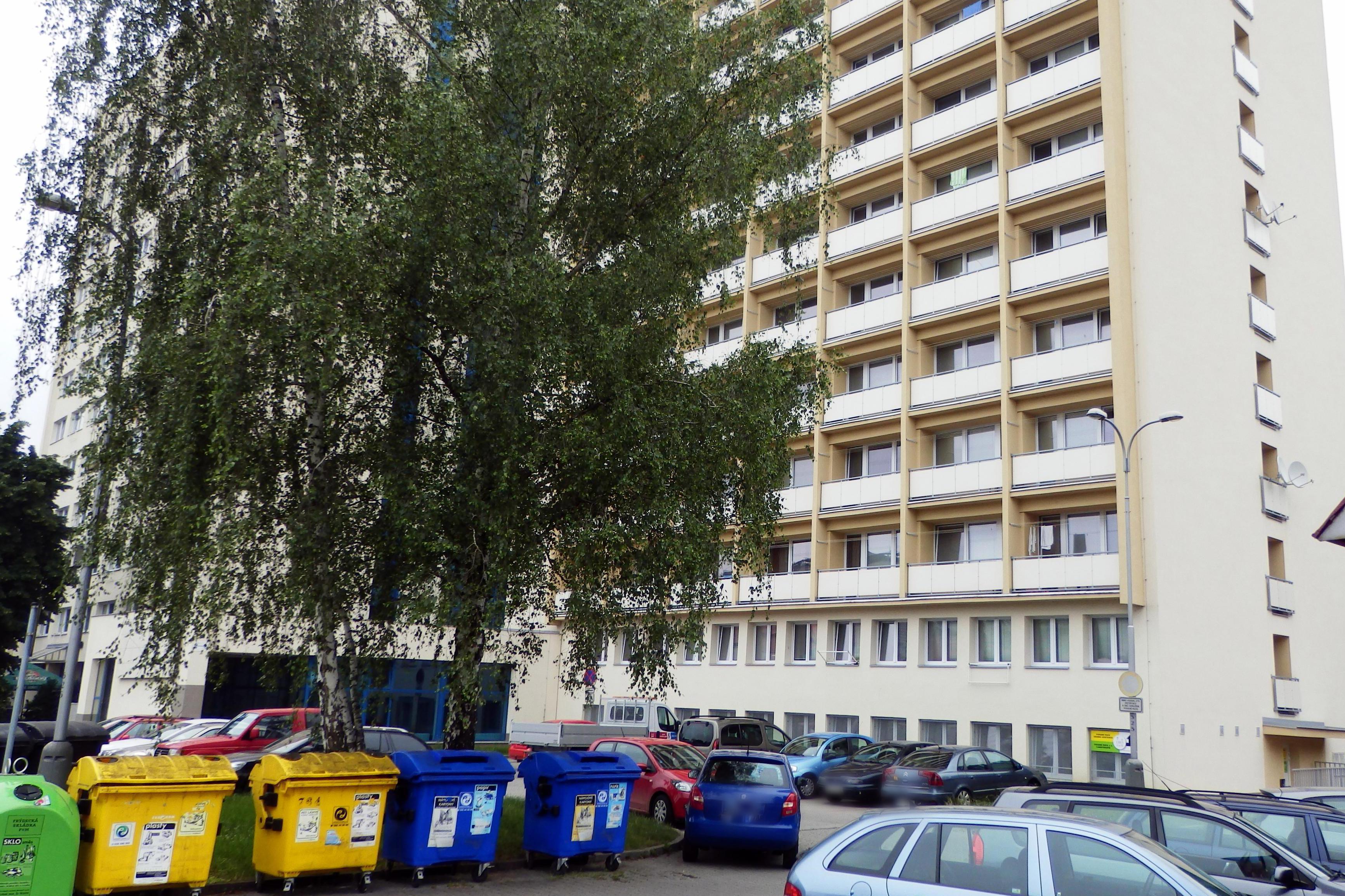 Podané ruce - osobní asistence