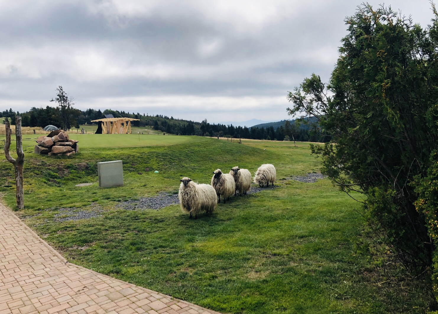 Golf club Teplice foto 2