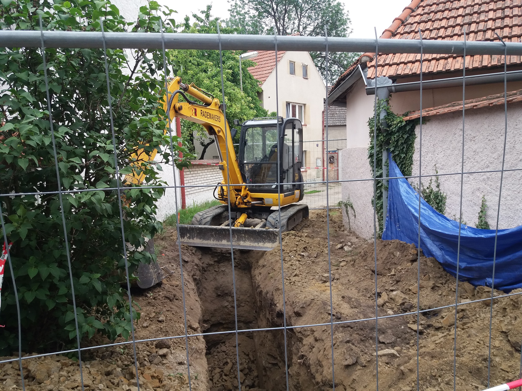 Šeda a synové foto 4