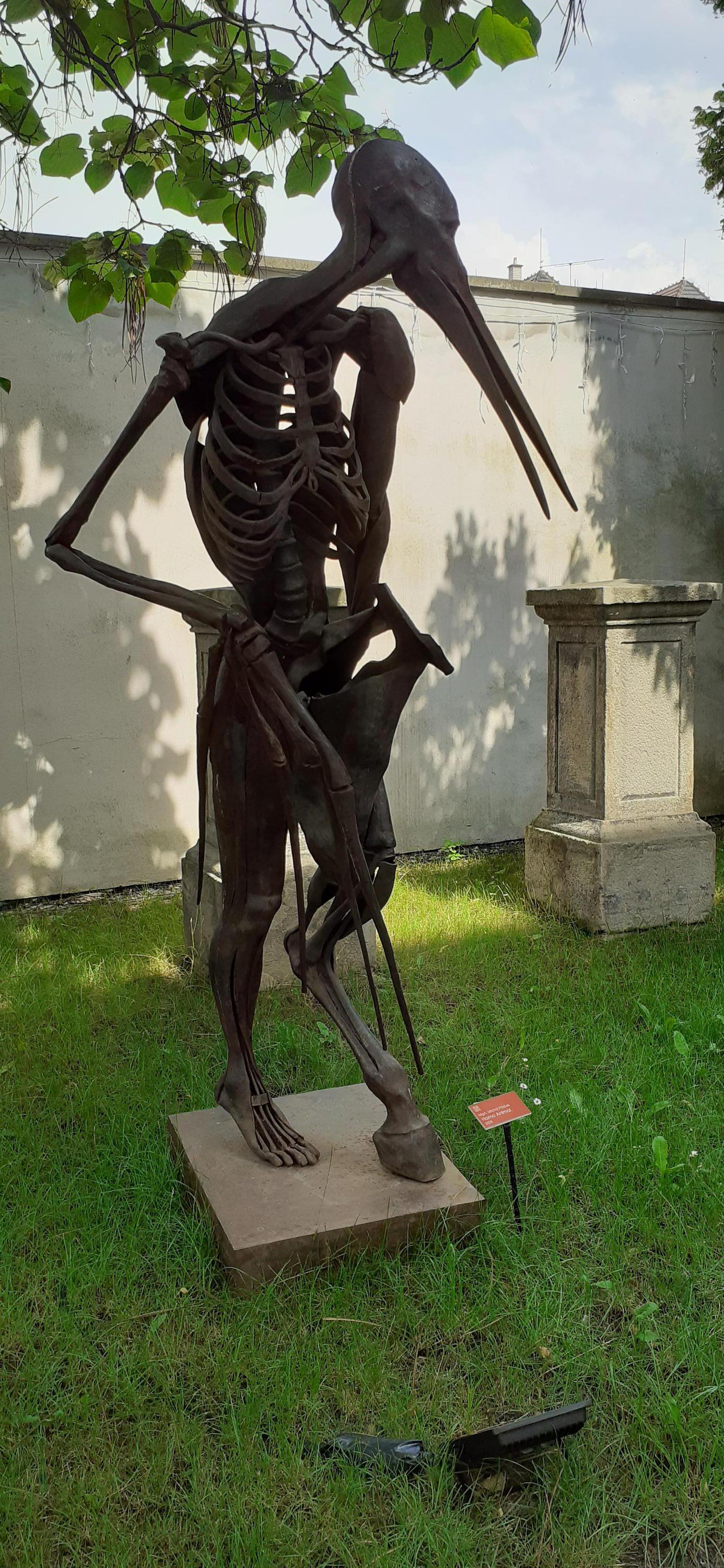 Galerie města Přerova foto 6