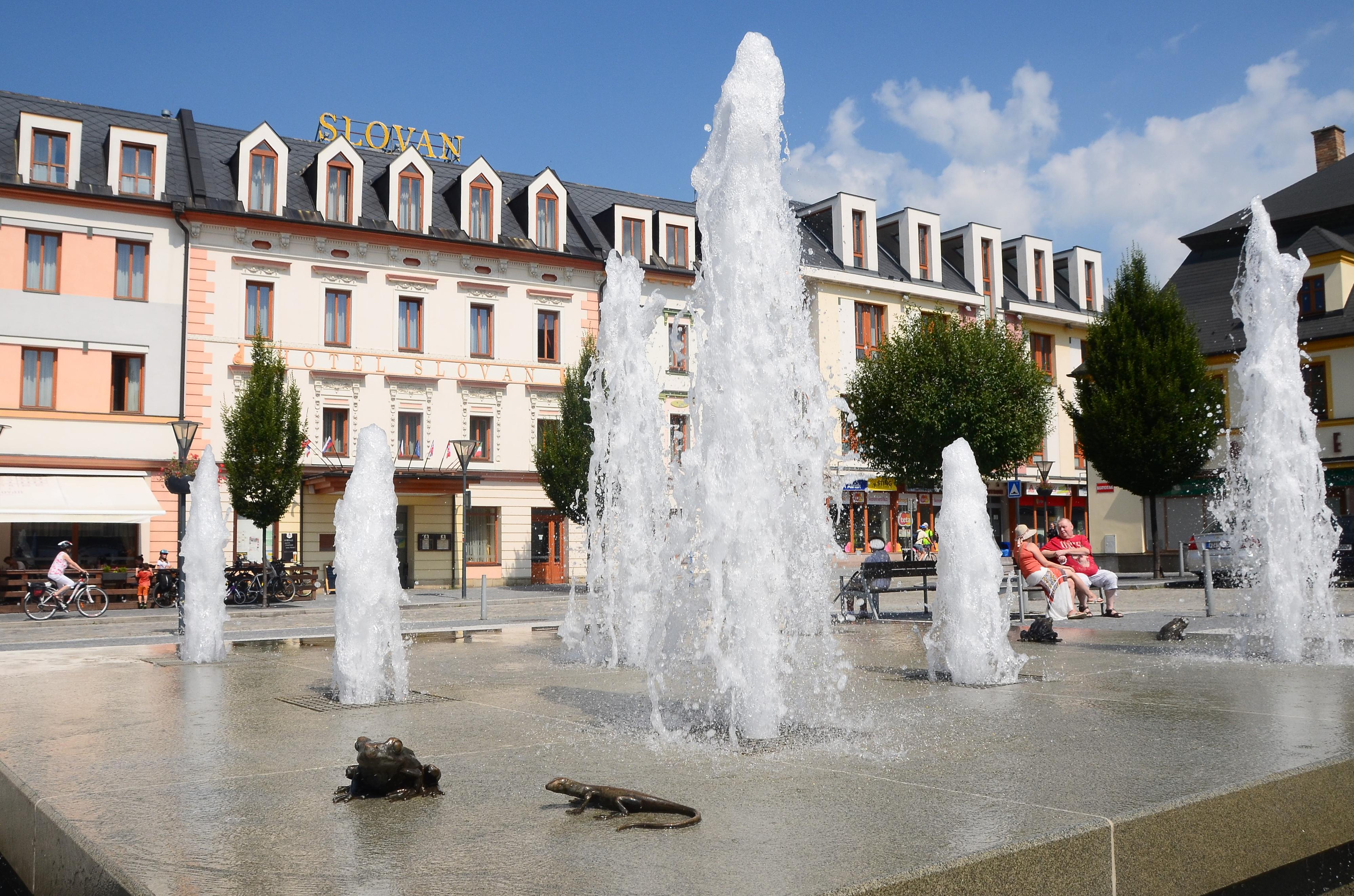 Hotel Slovan foto 5