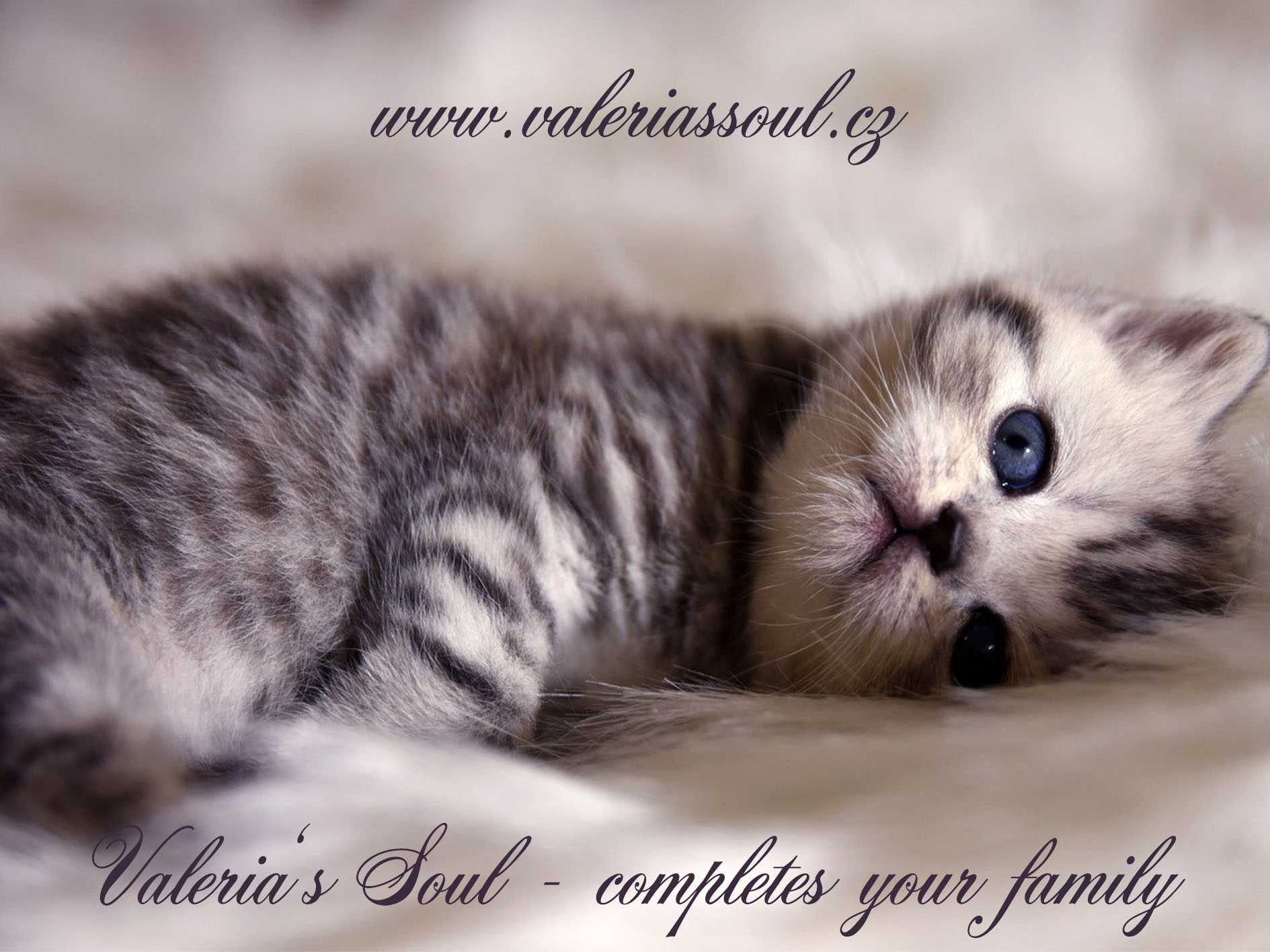 Valeria's Soul foto 2