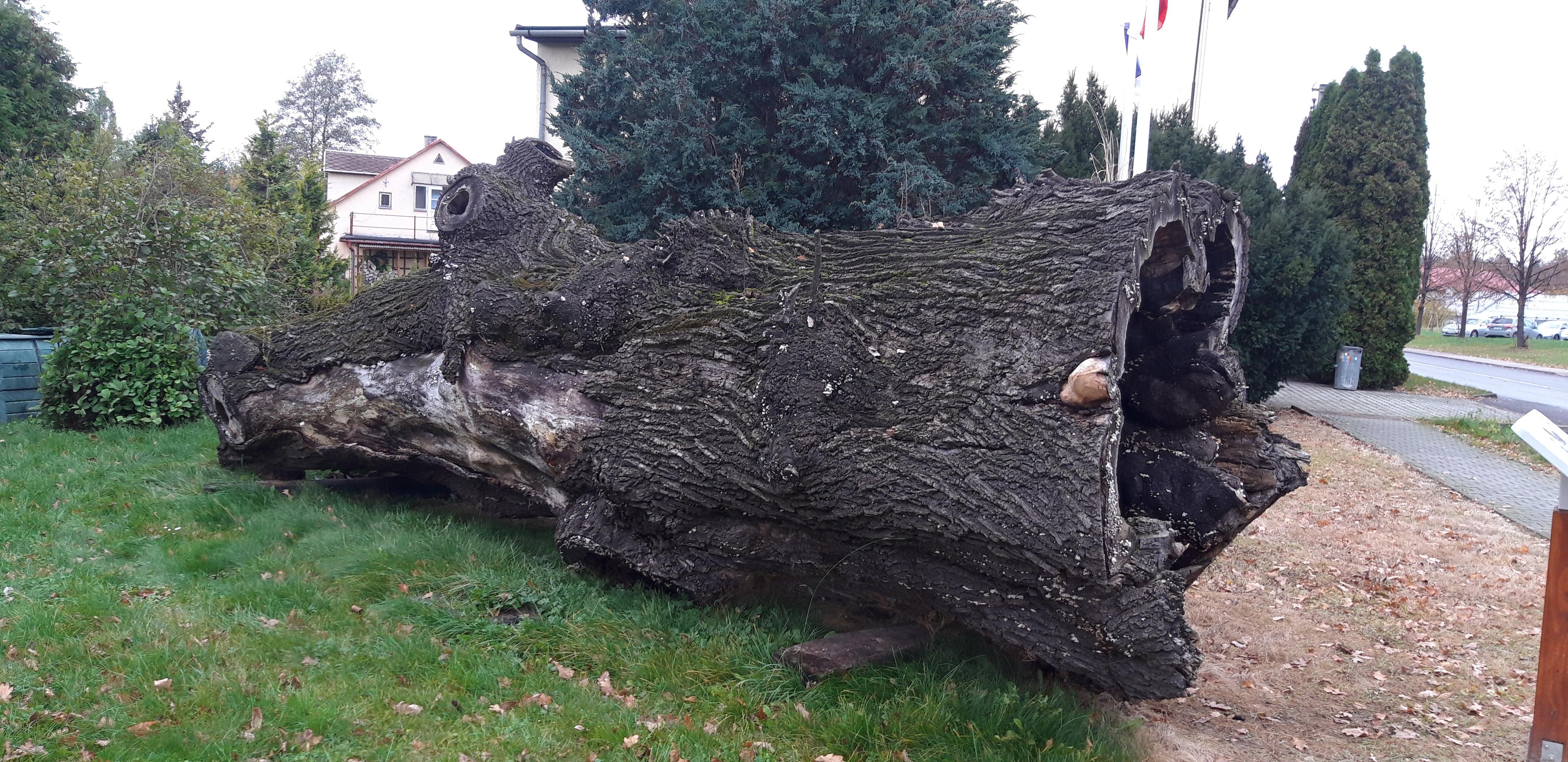 Raškovice - obecní úřad foto 4