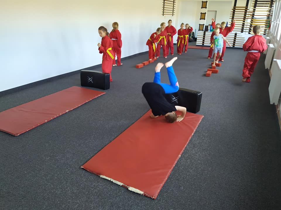 TENSHIN SHODEN RYU, z.s. foto 4
