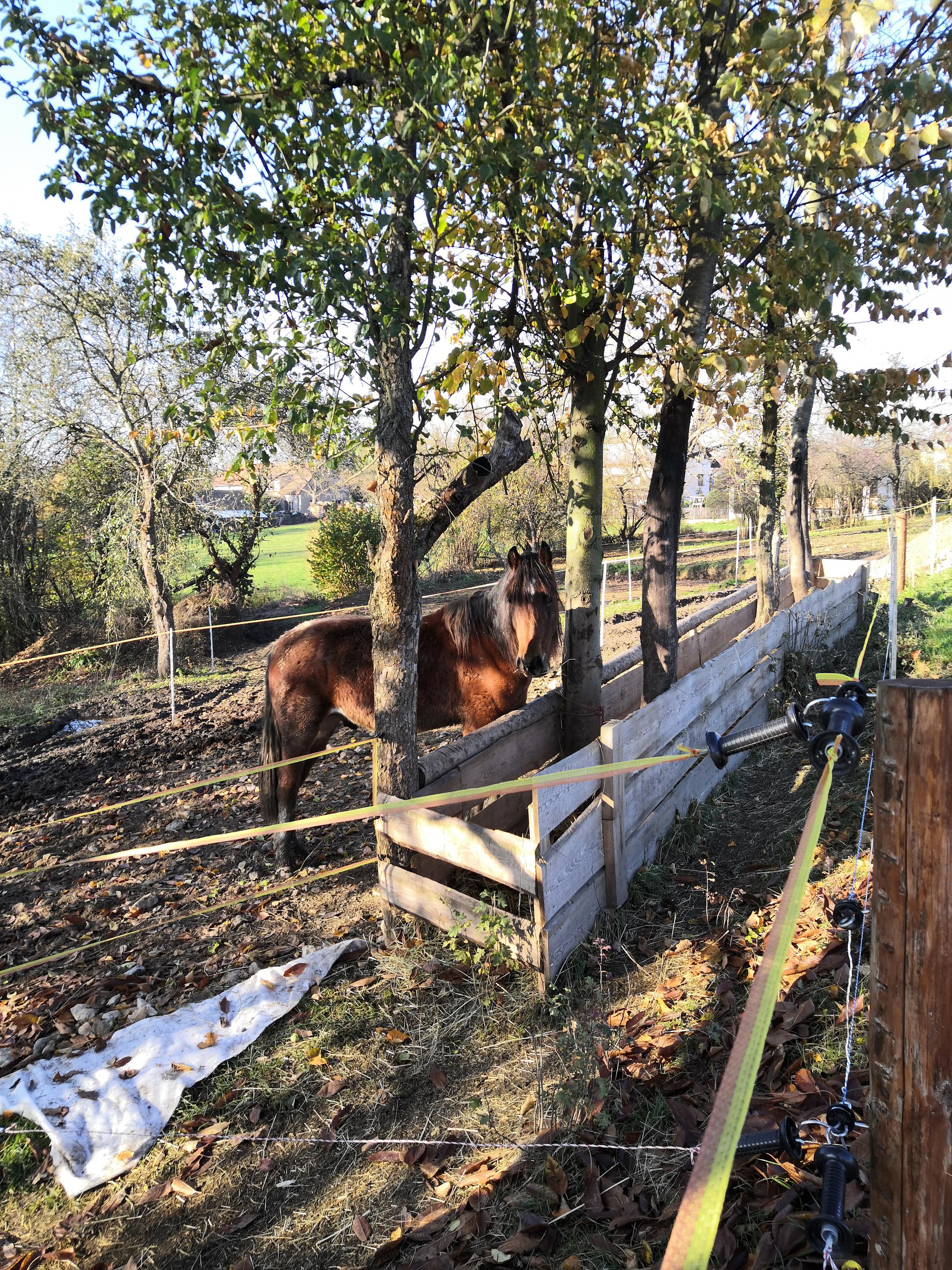 Ranč Šťastná hvězda foto 5