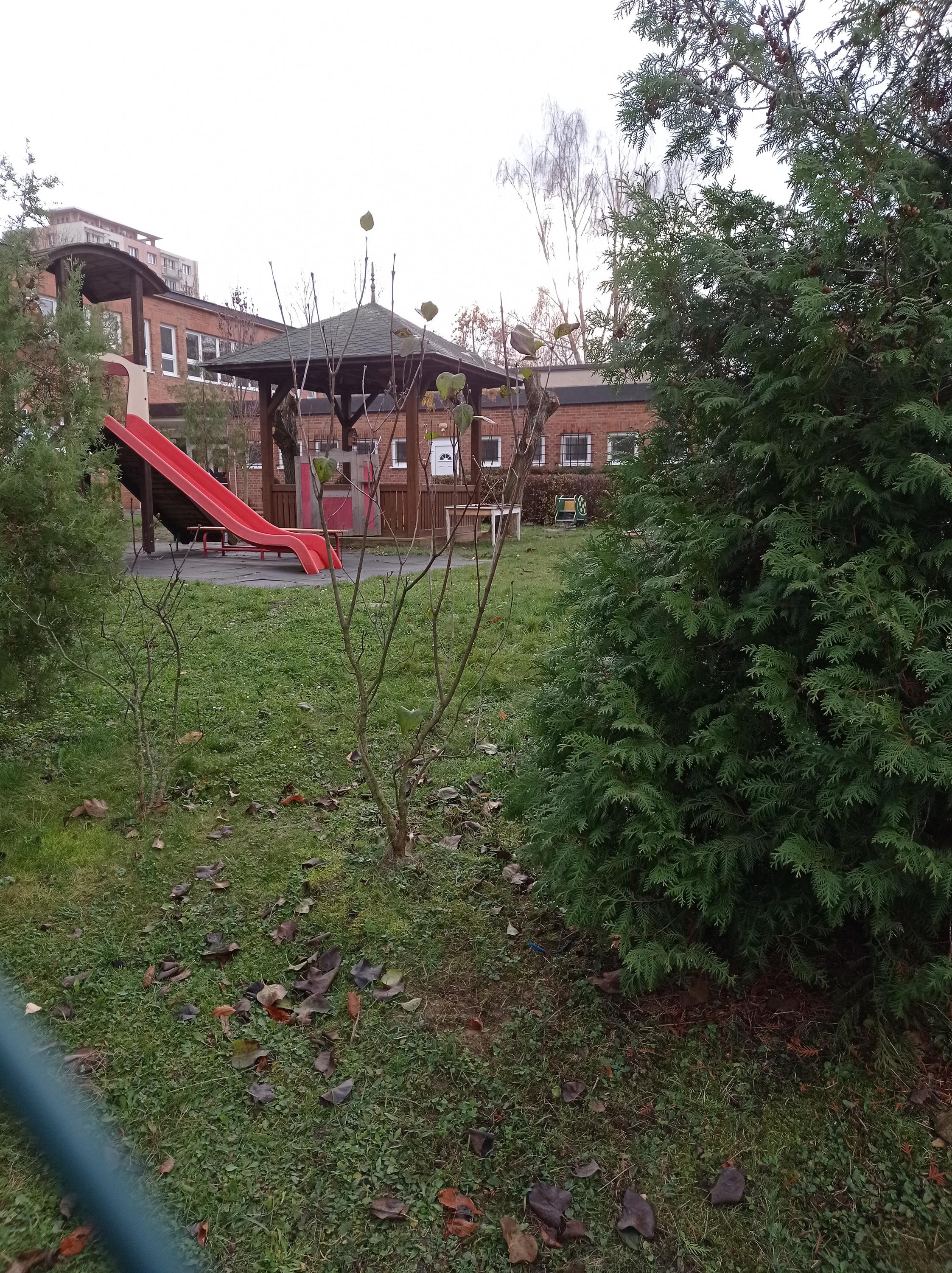 MŠ Zlín, třída Svobody foto 2
