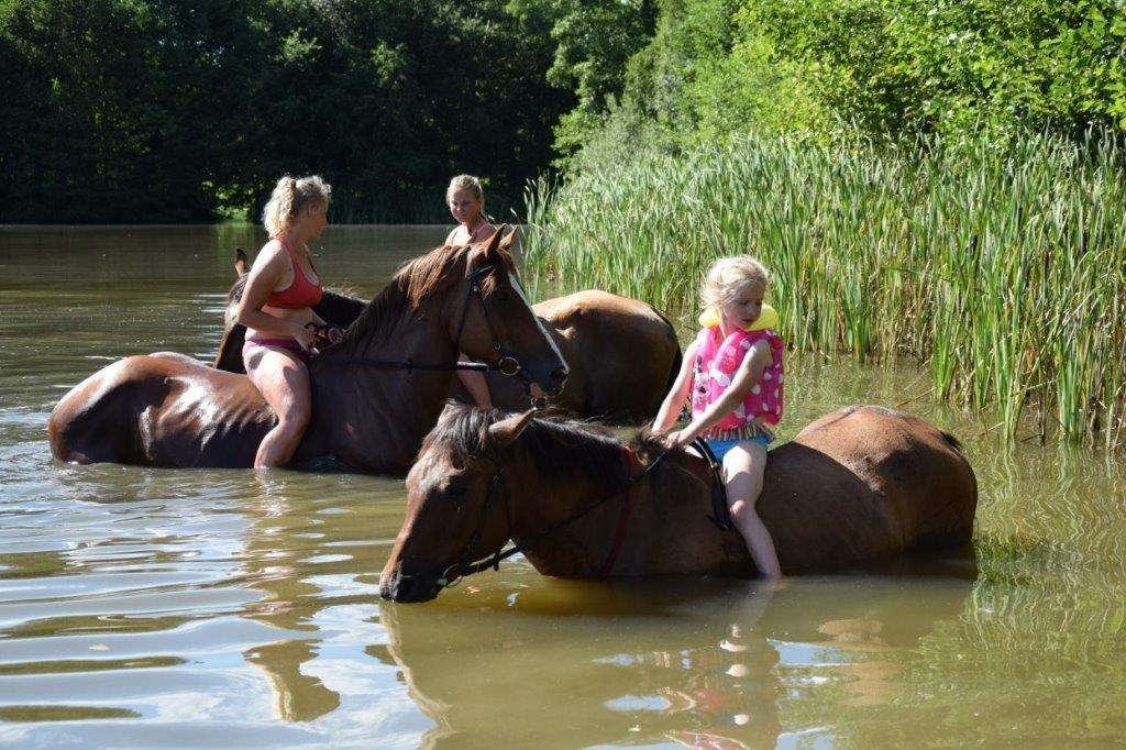 Ranč Šťastná hvězda foto 4
