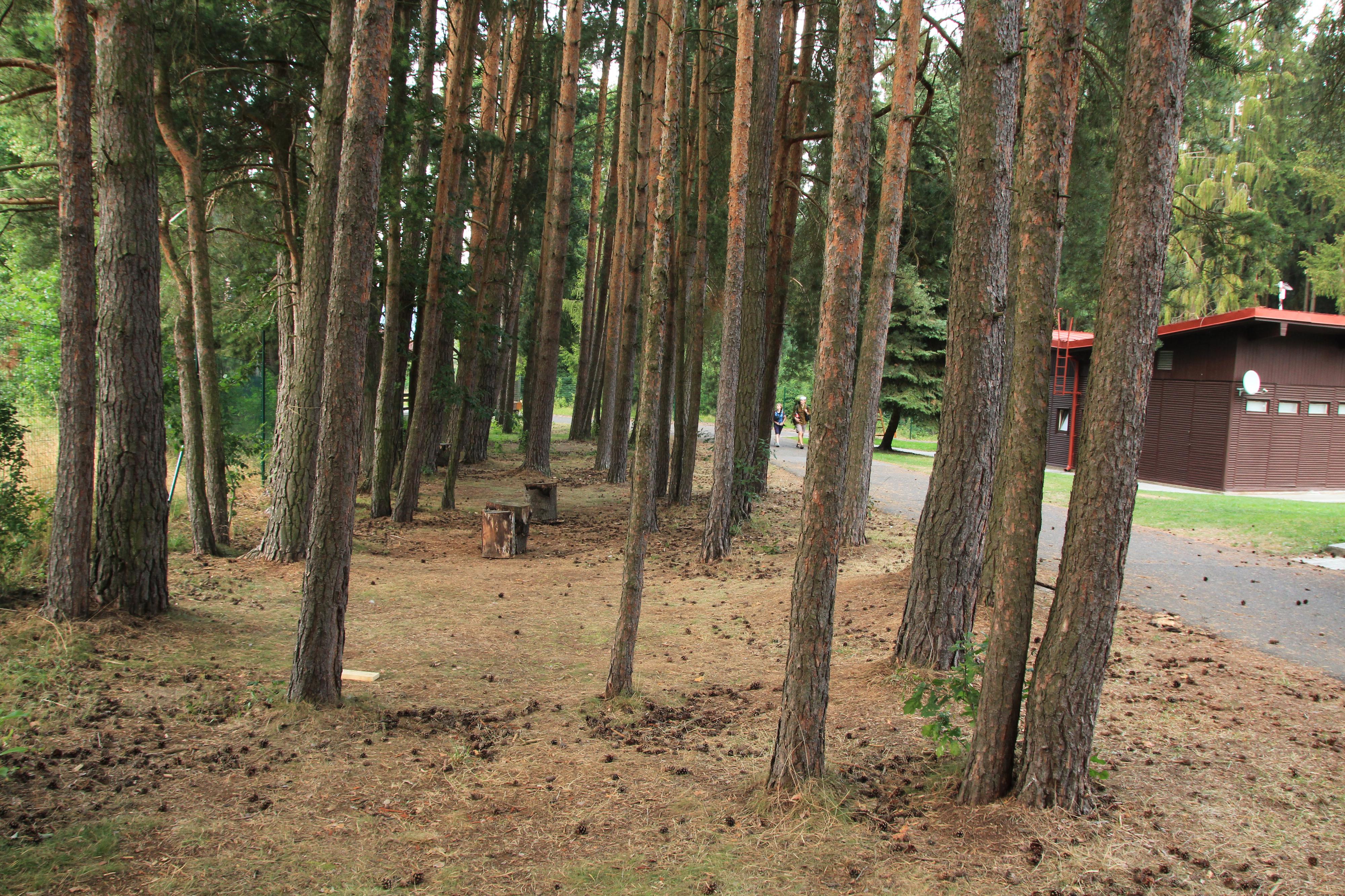 Camping La Provence foto 4