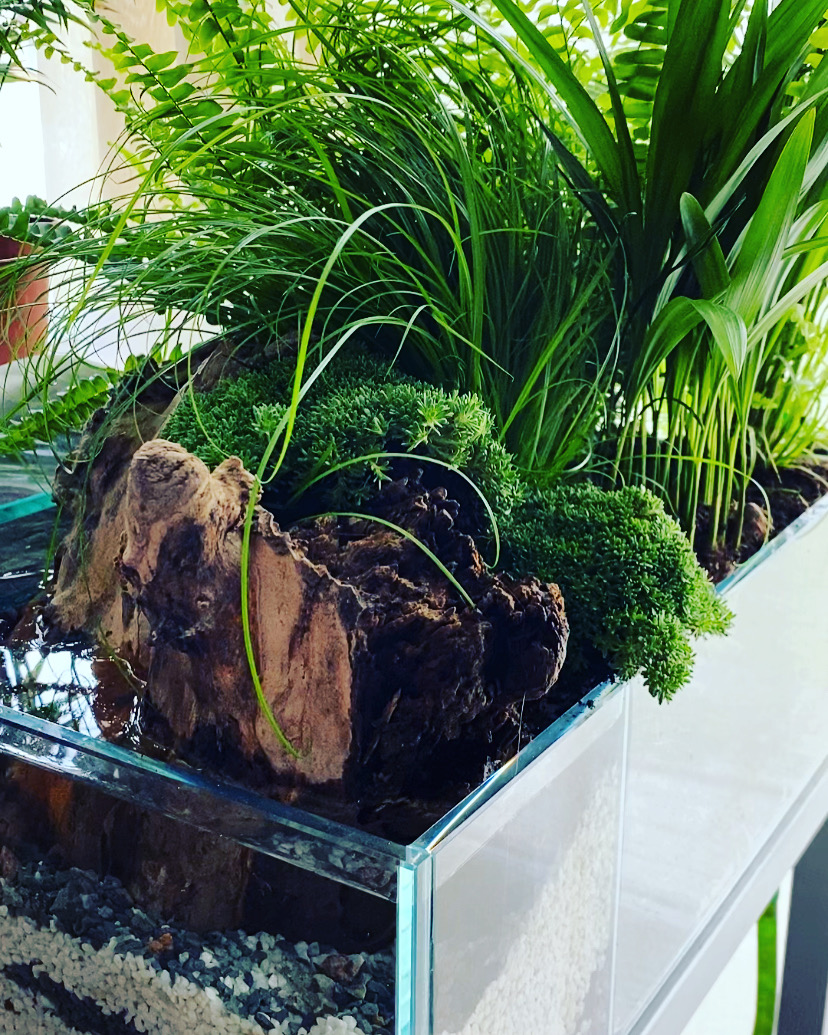 AquaDenCz foto 2