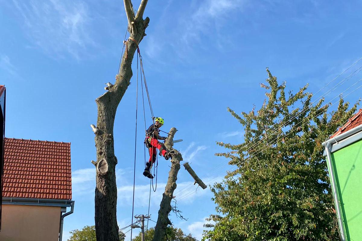Výškové práce Kamil Čech
