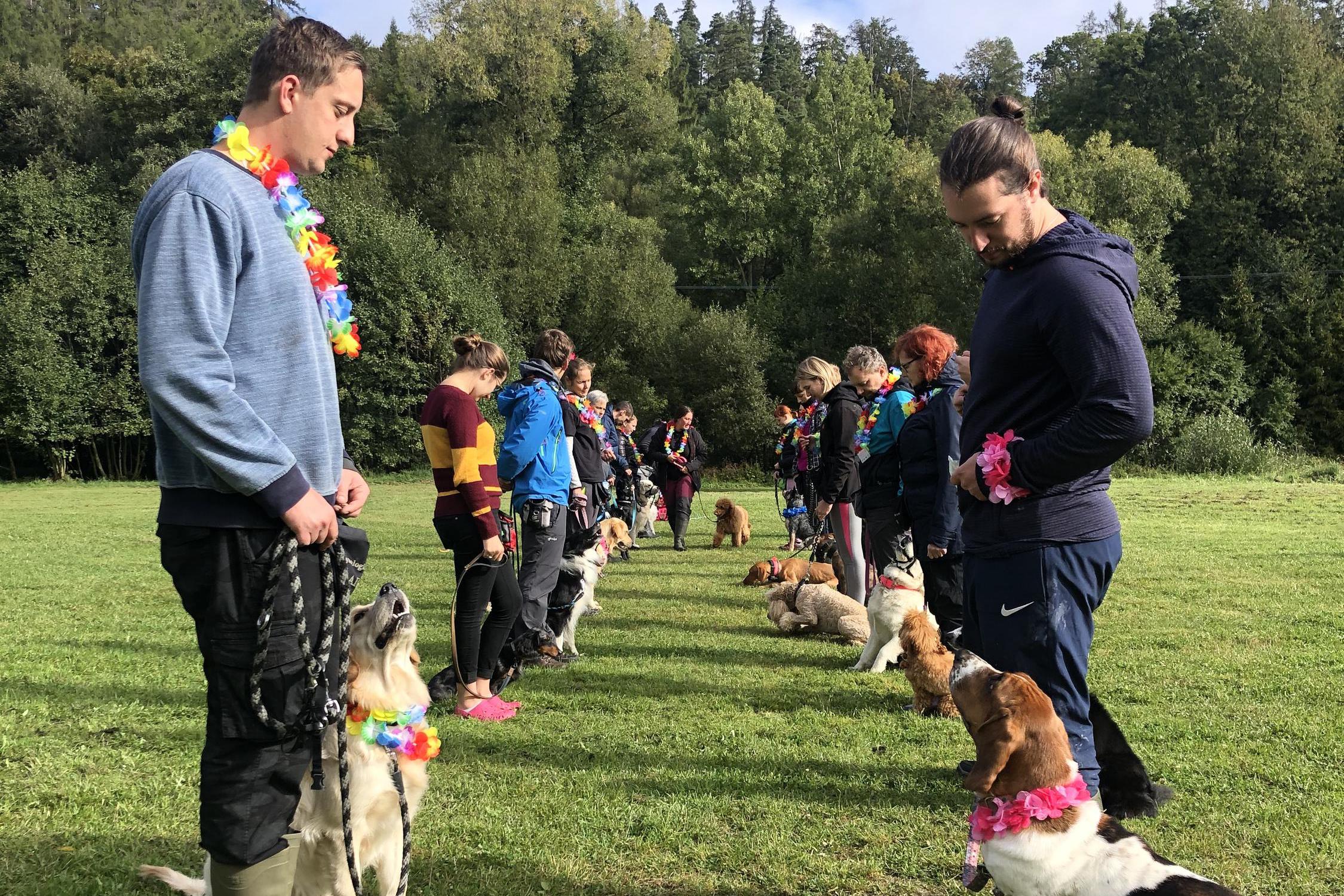 Hala - Kynologické centrum AIGON