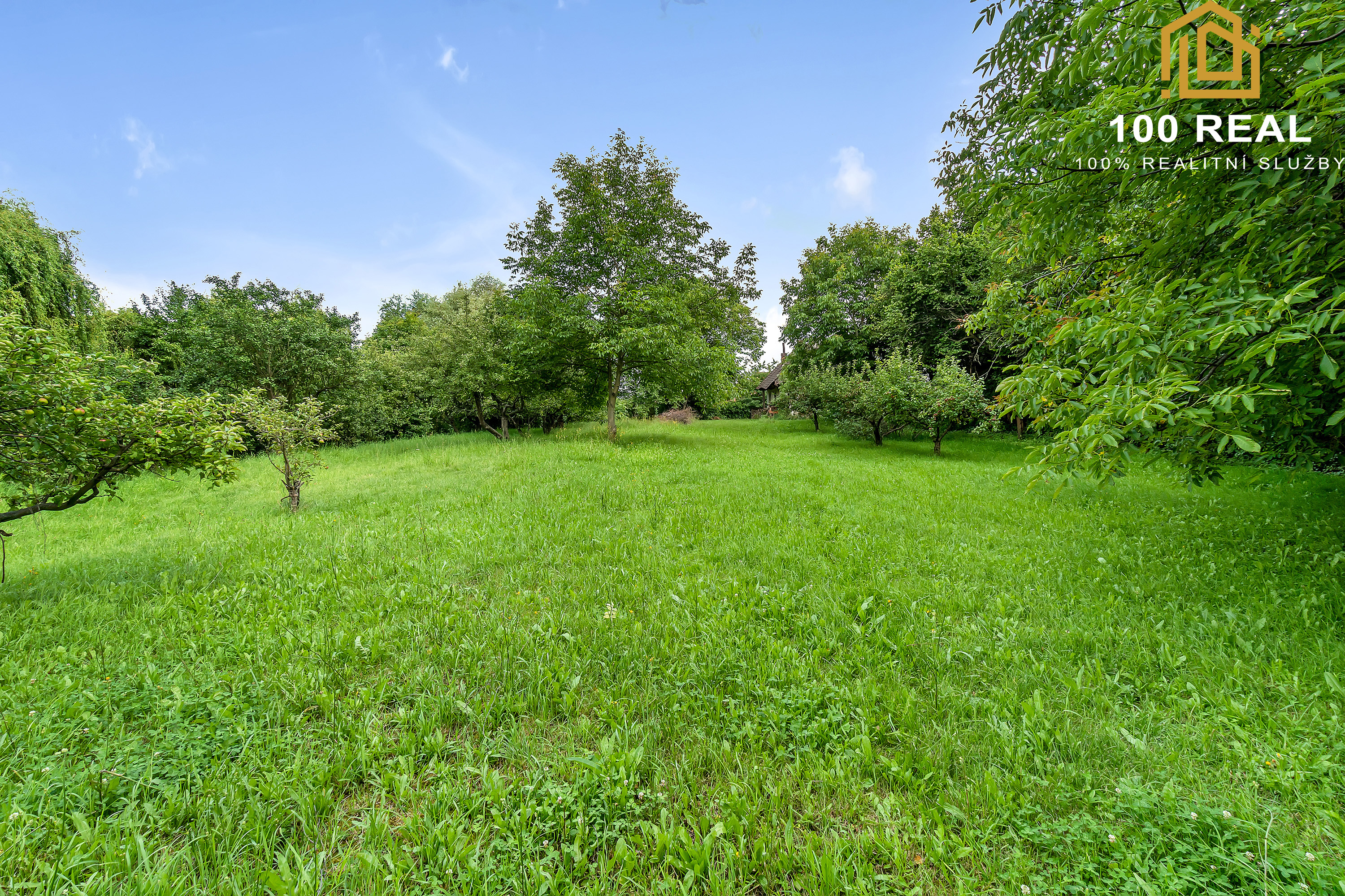 100 REAL s.r.o. foto 3