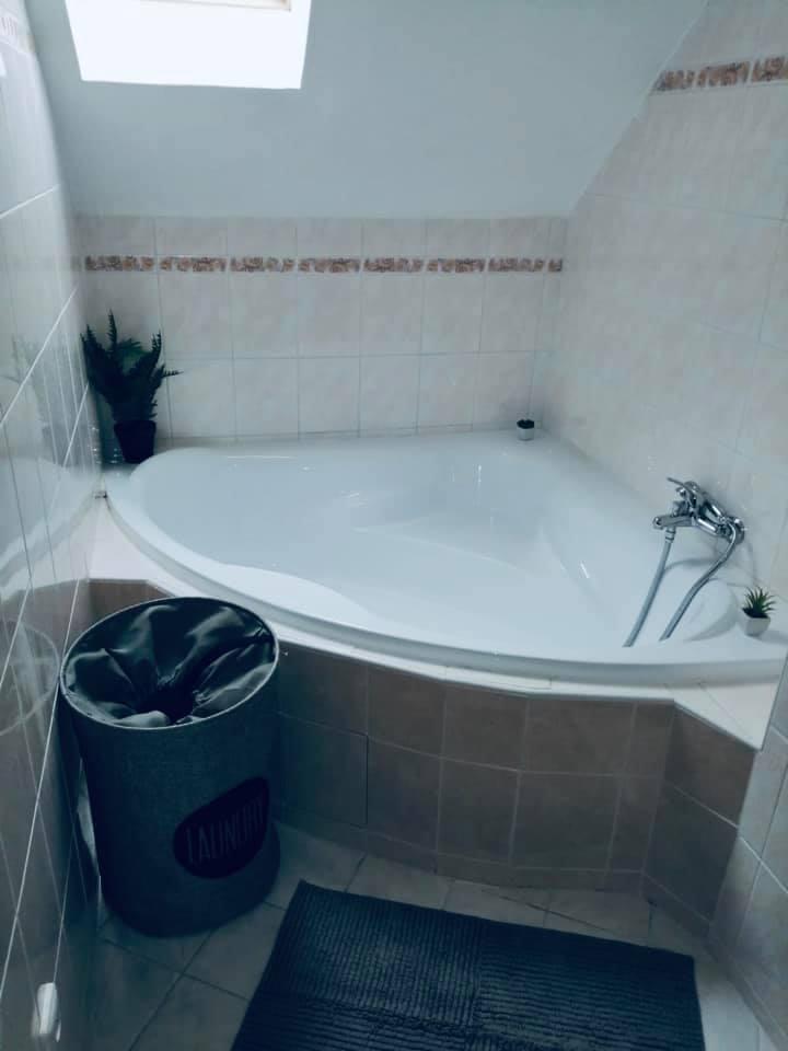 Penzion ve Srubu Jenišov foto 6