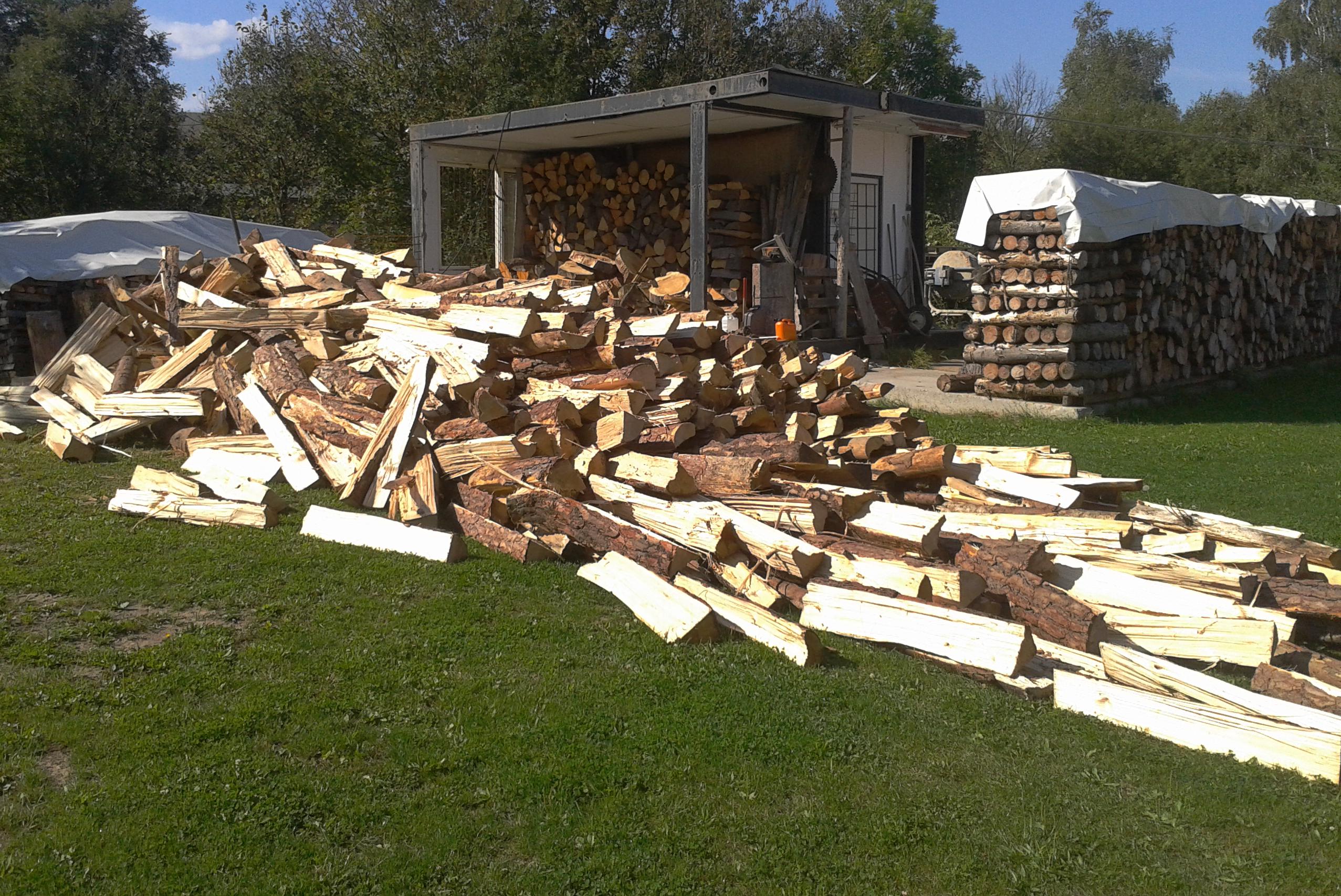 Smrk metrové štěpiny - rovnané